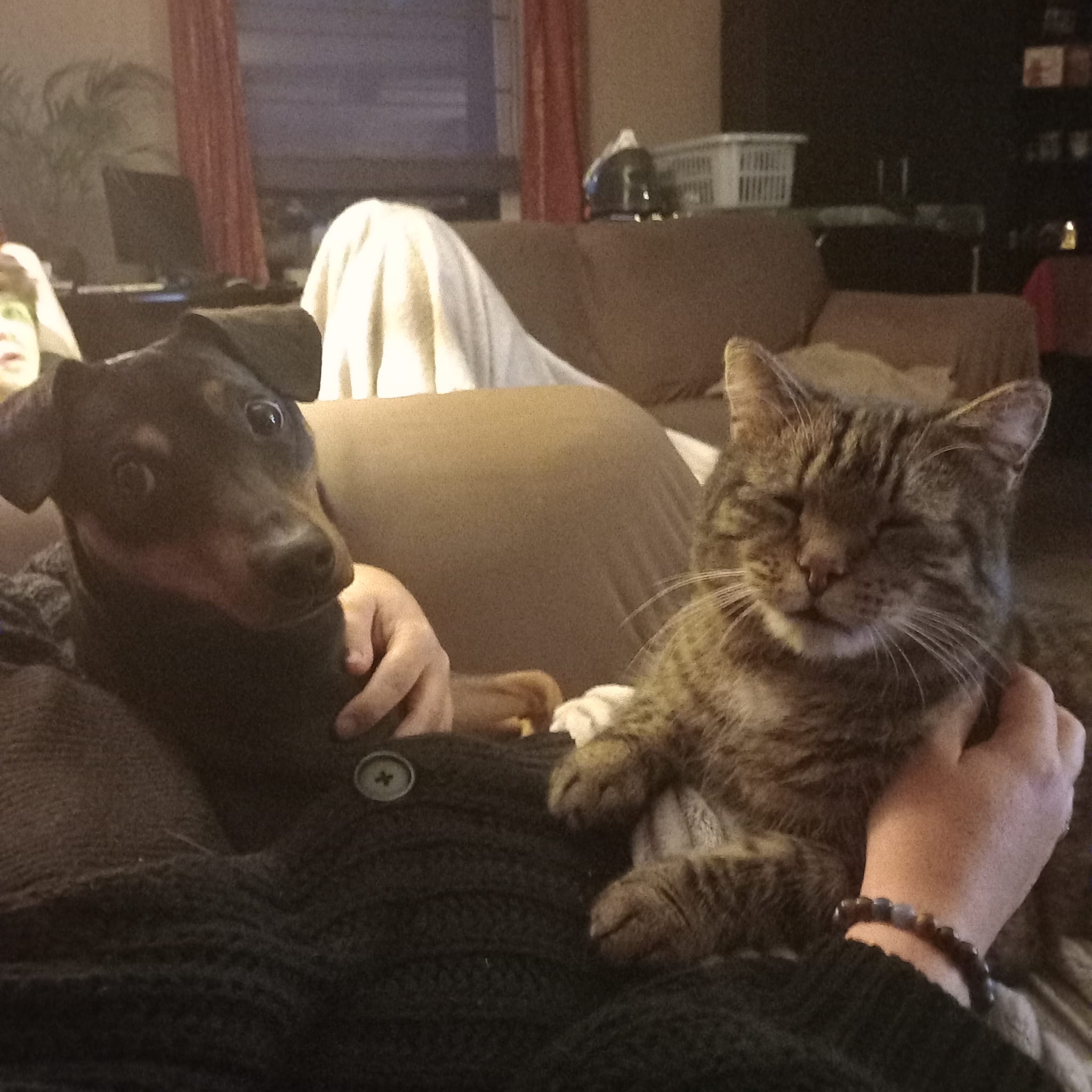 image-6