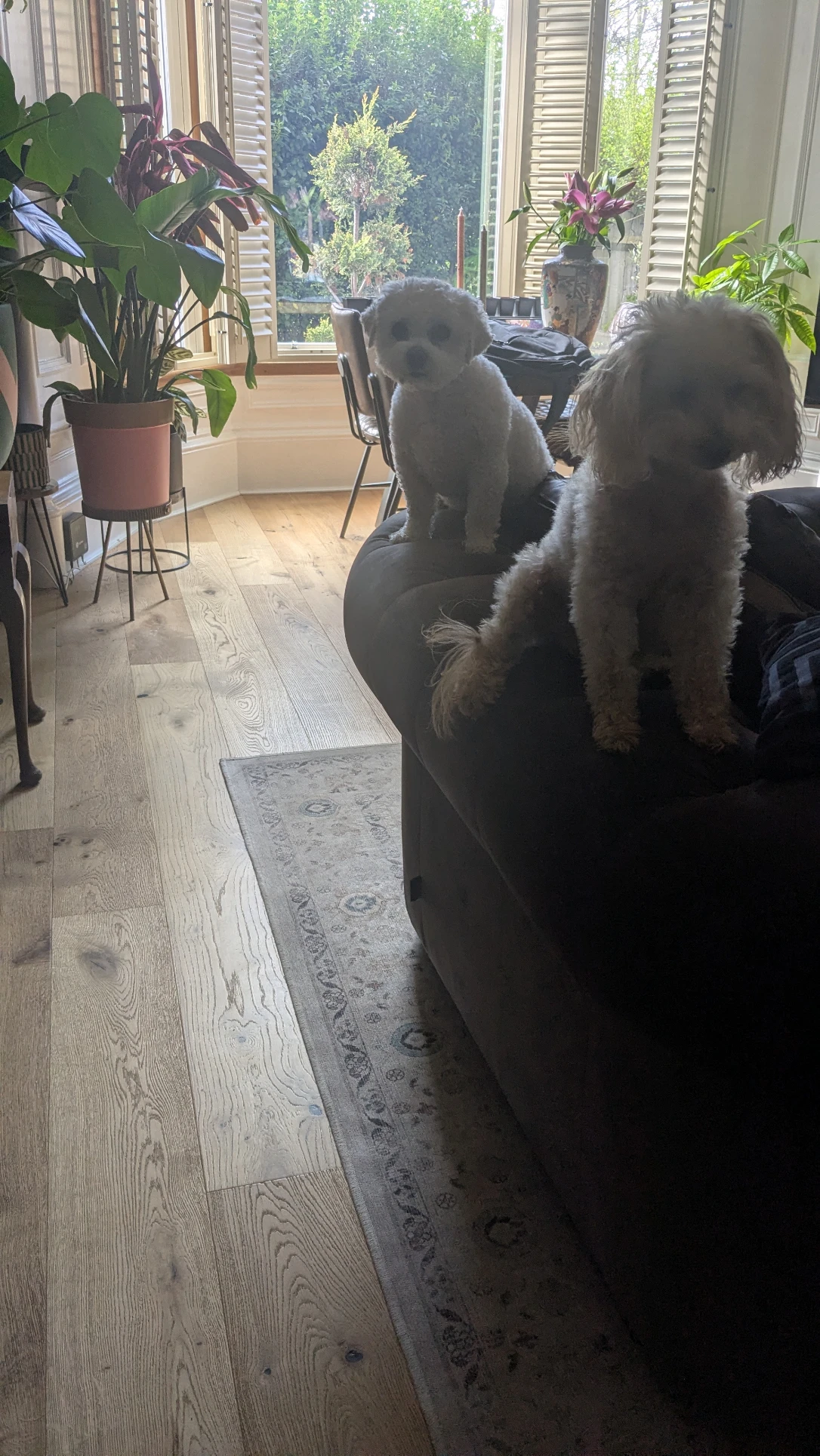 image-18