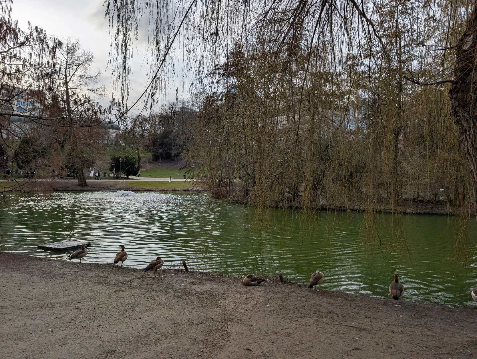 image-15