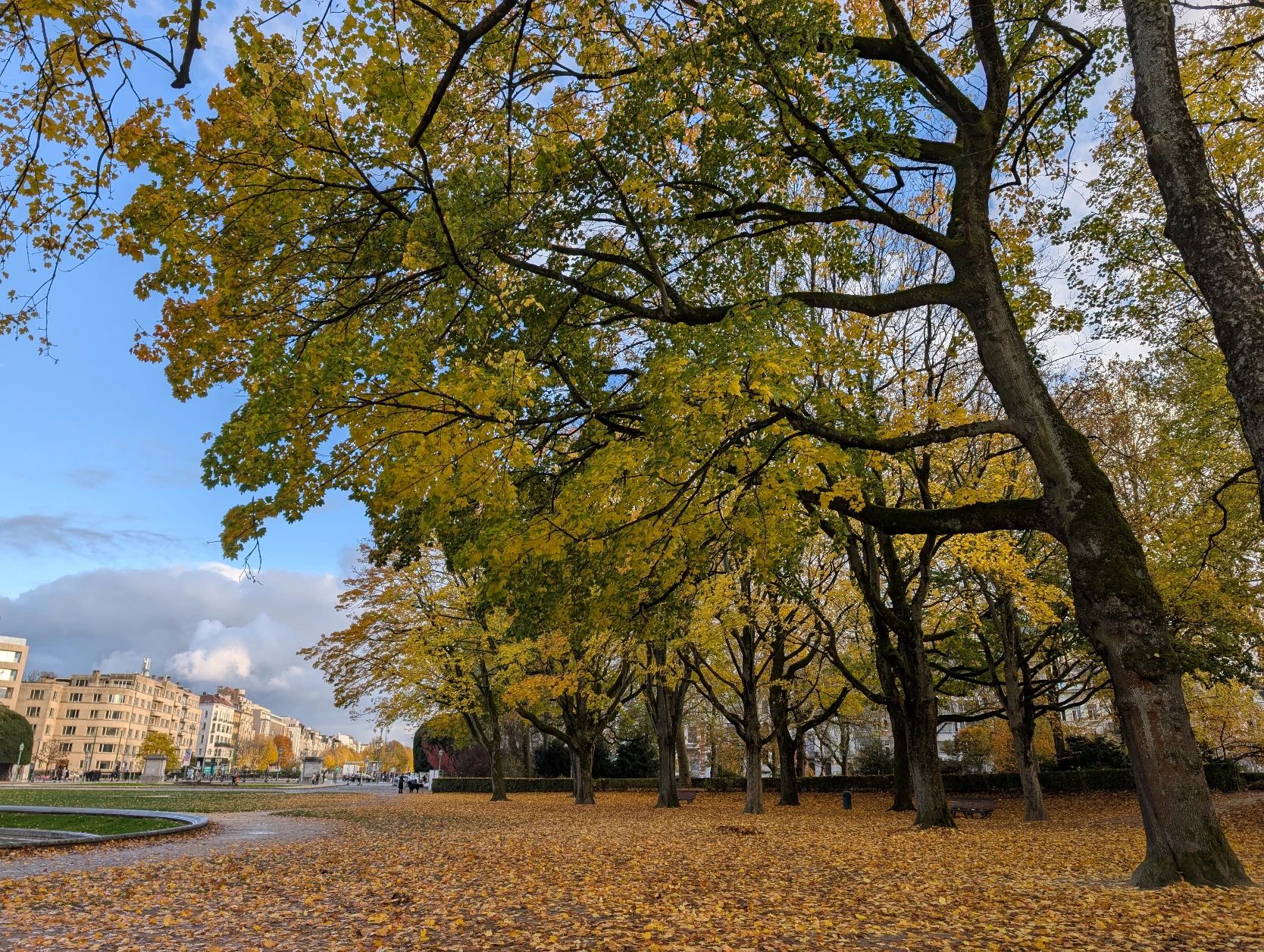 image-14