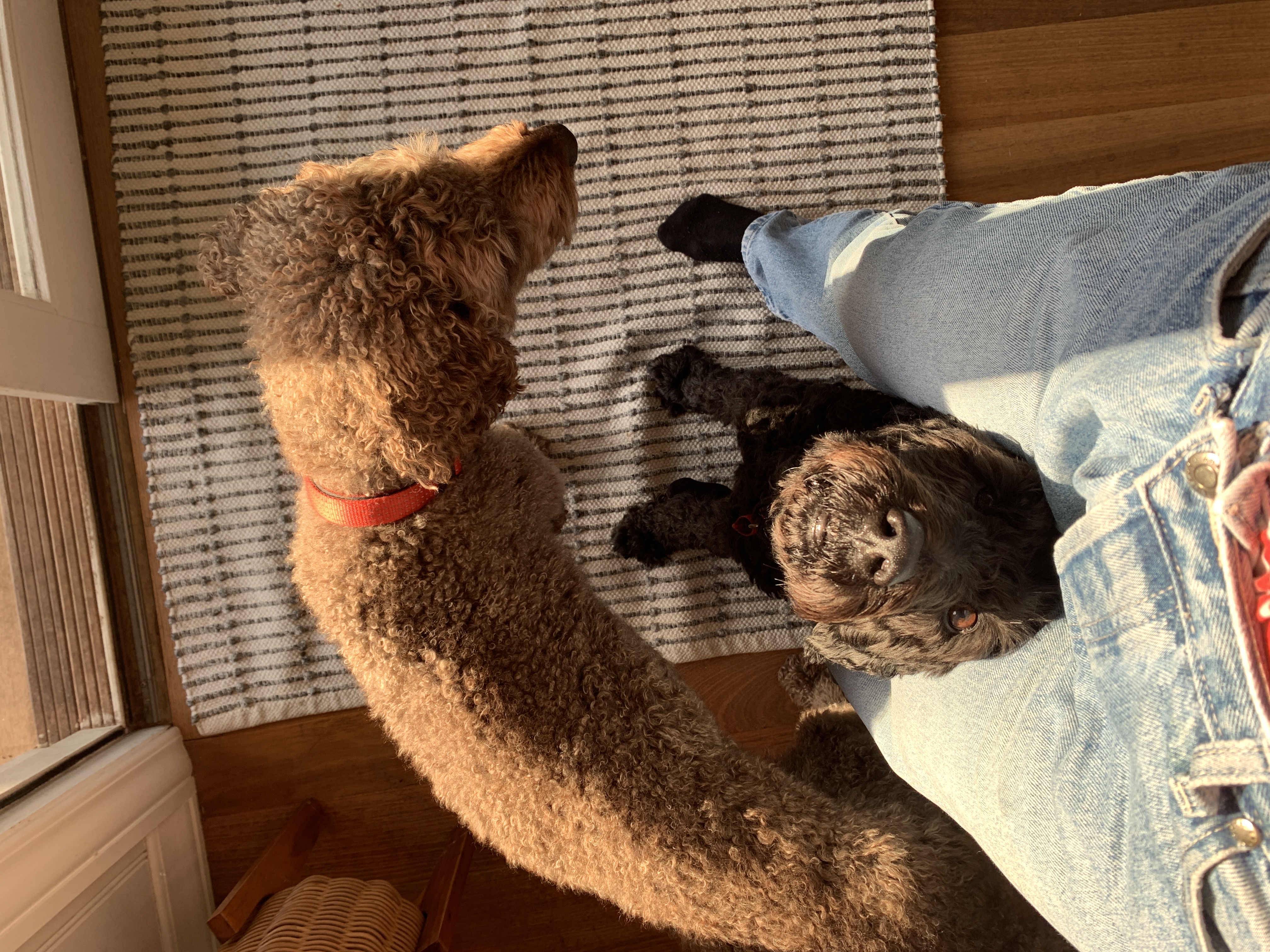 image-8
