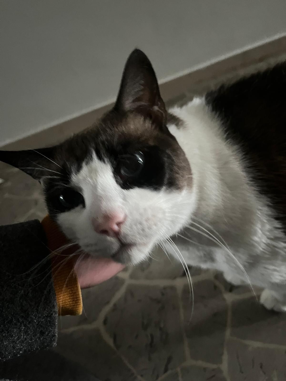 image-6