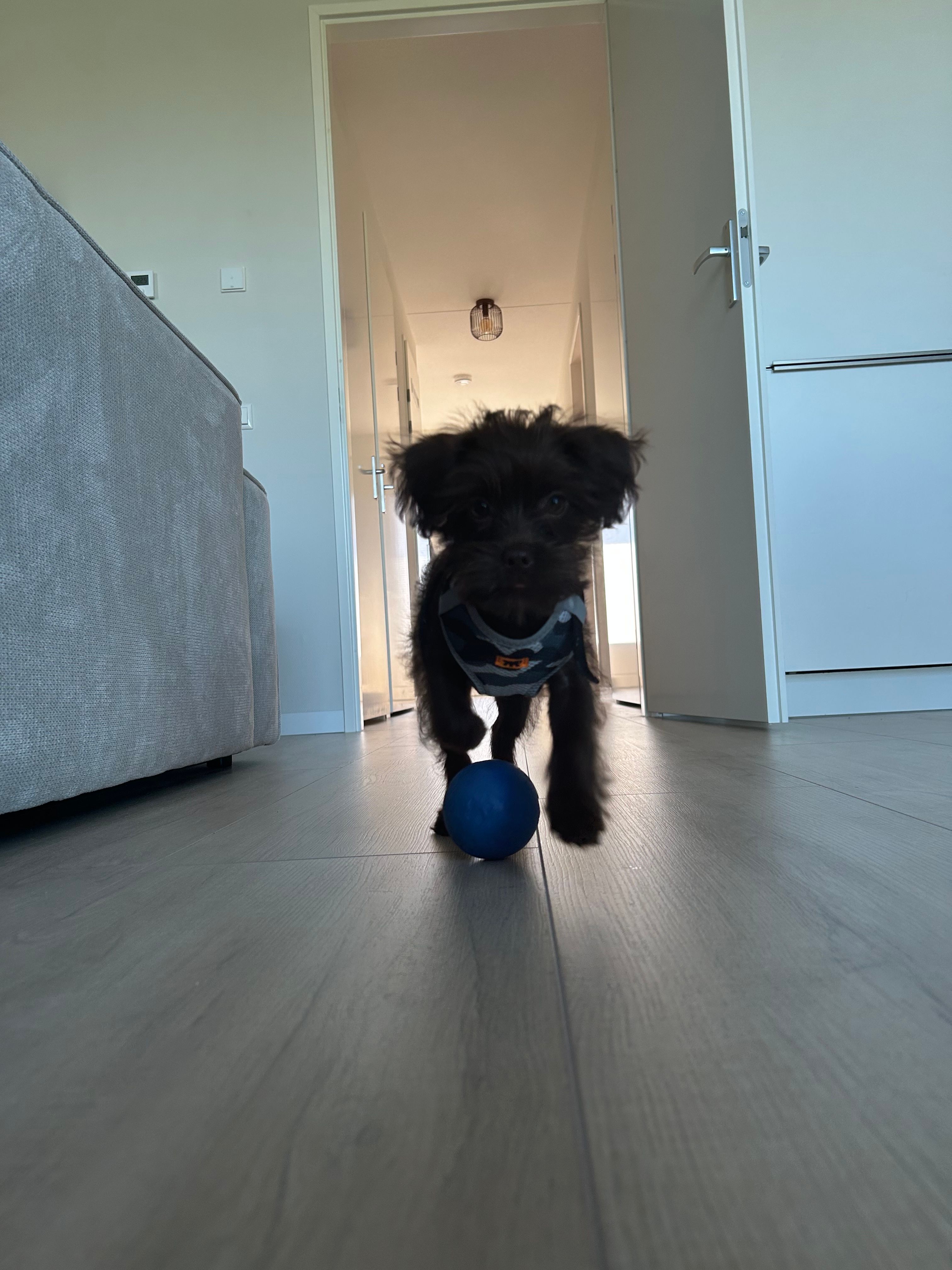 image-16