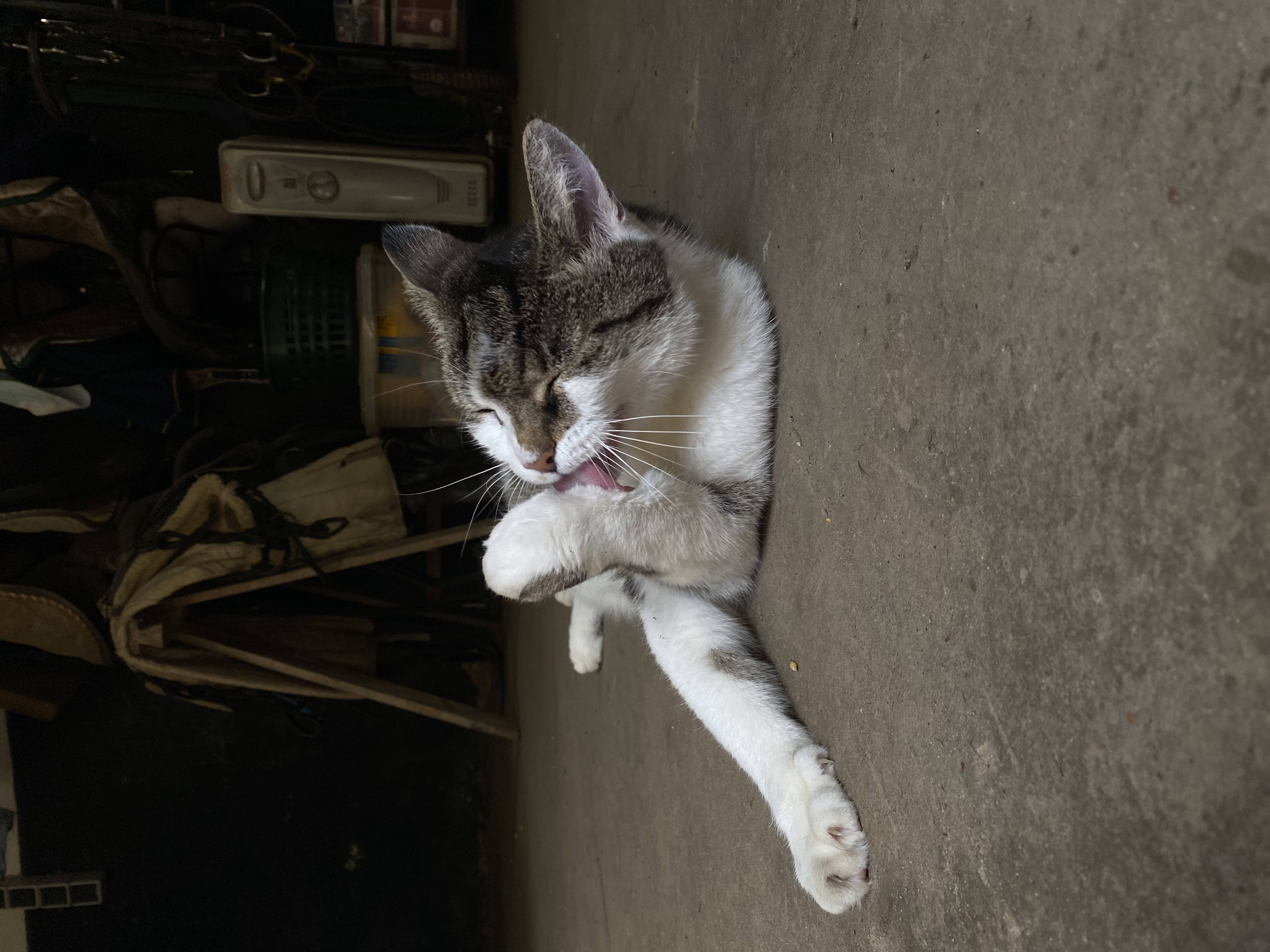 image-11