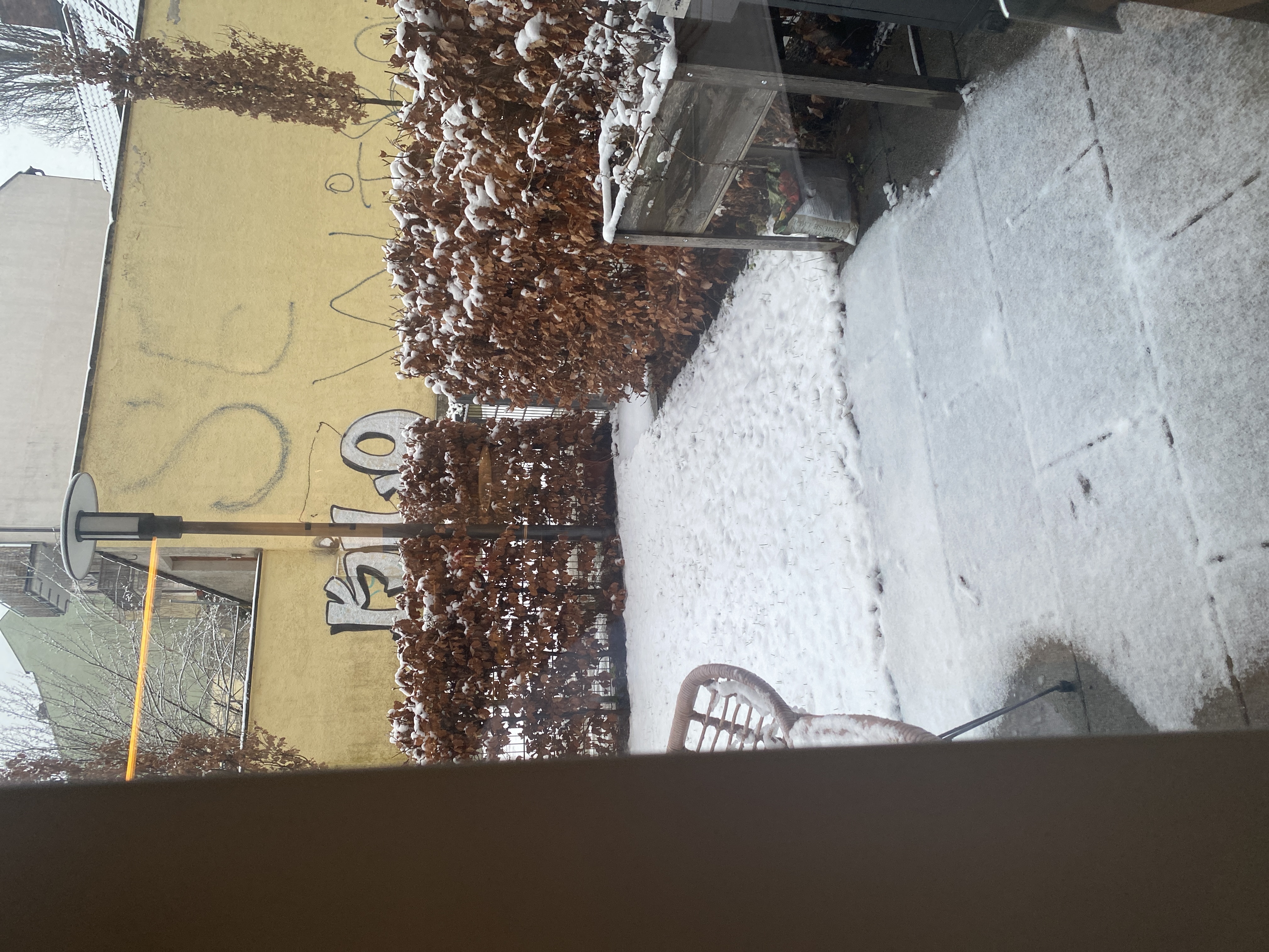 image-13