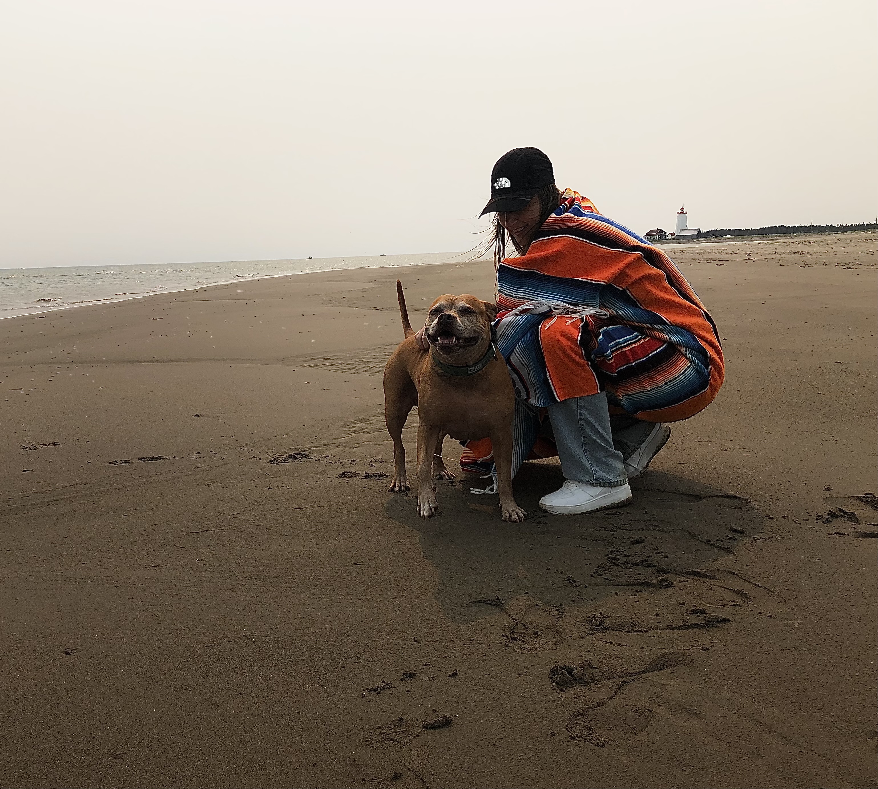 image-4