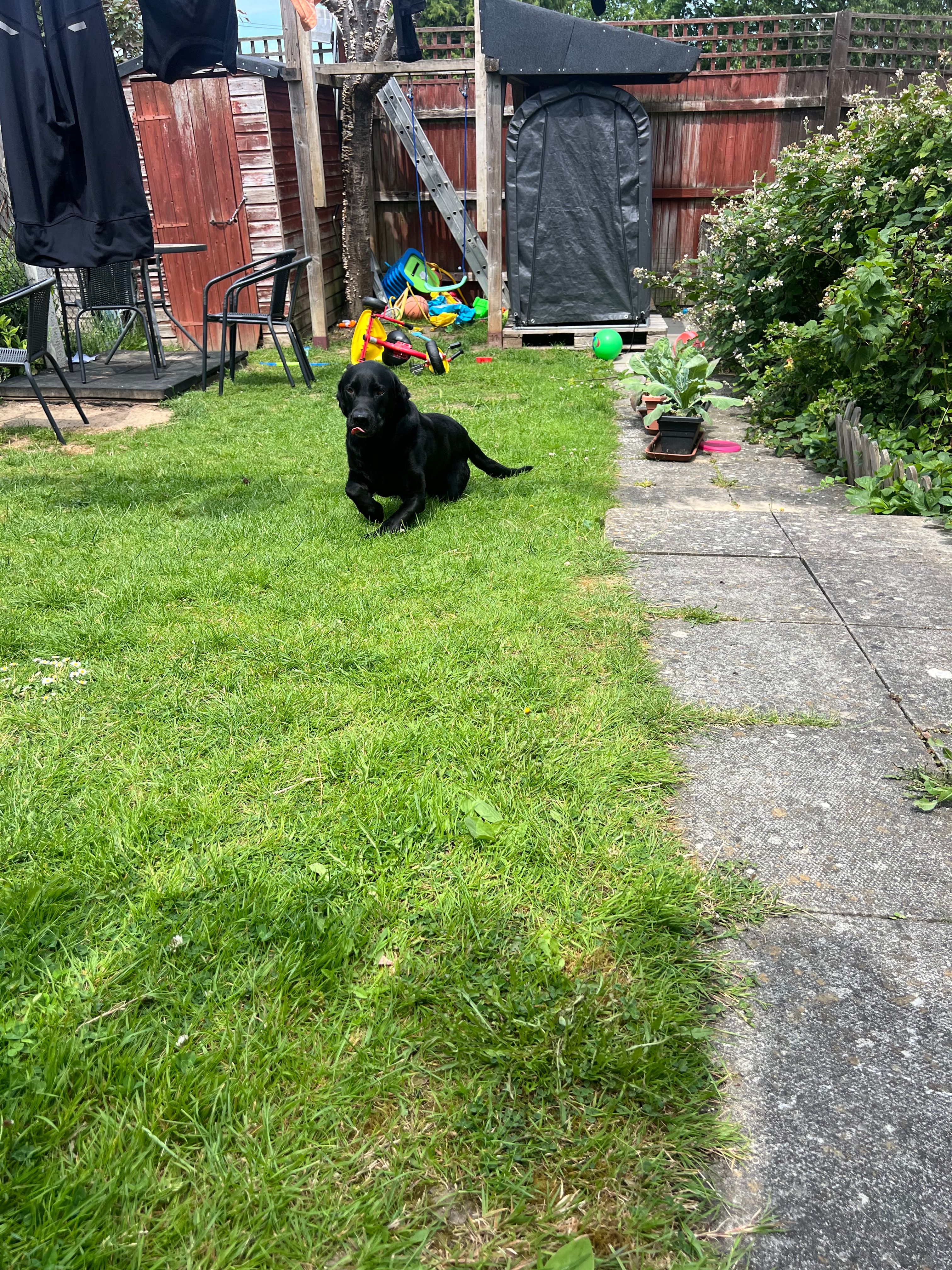 image-16