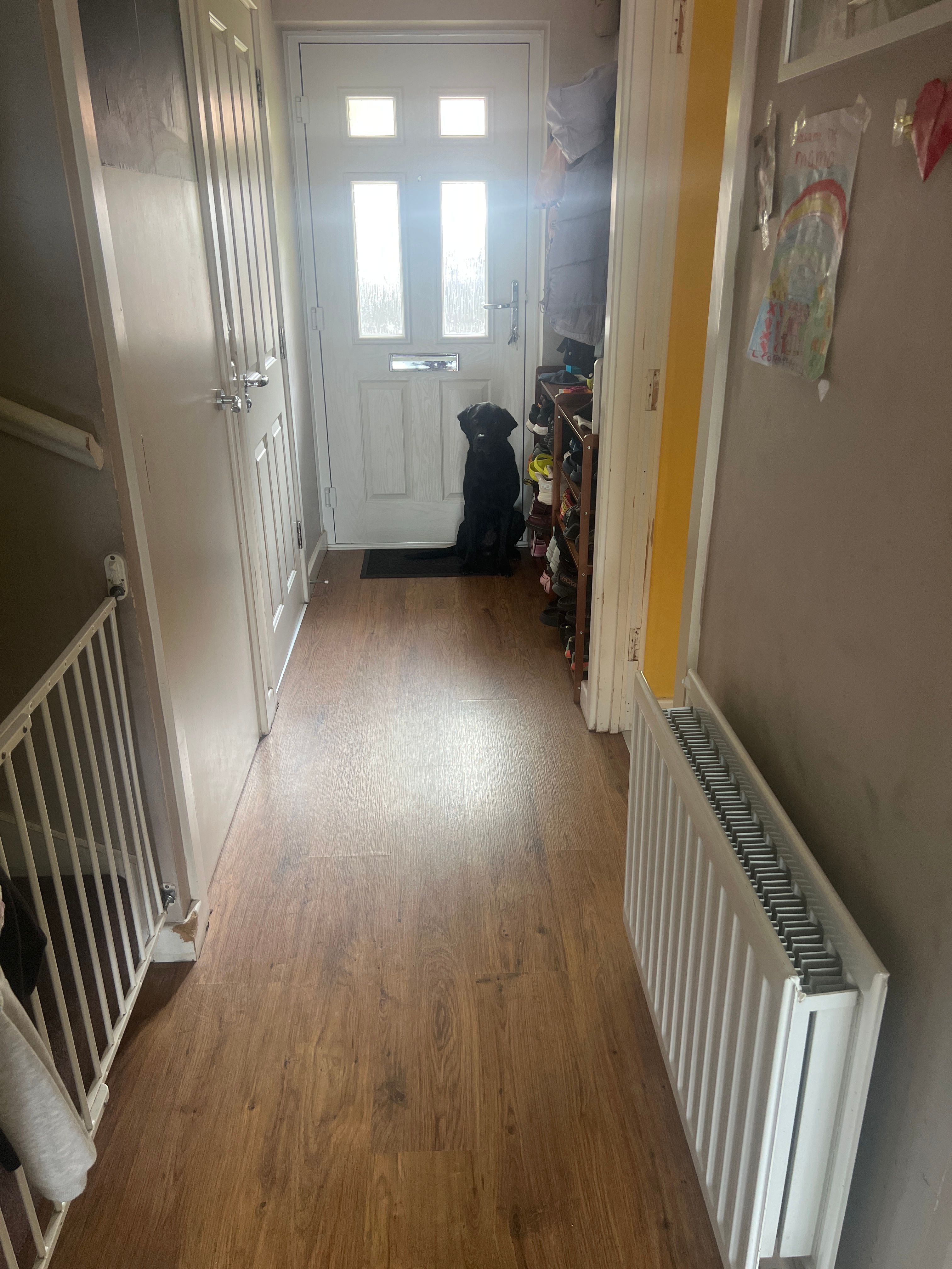 image-19