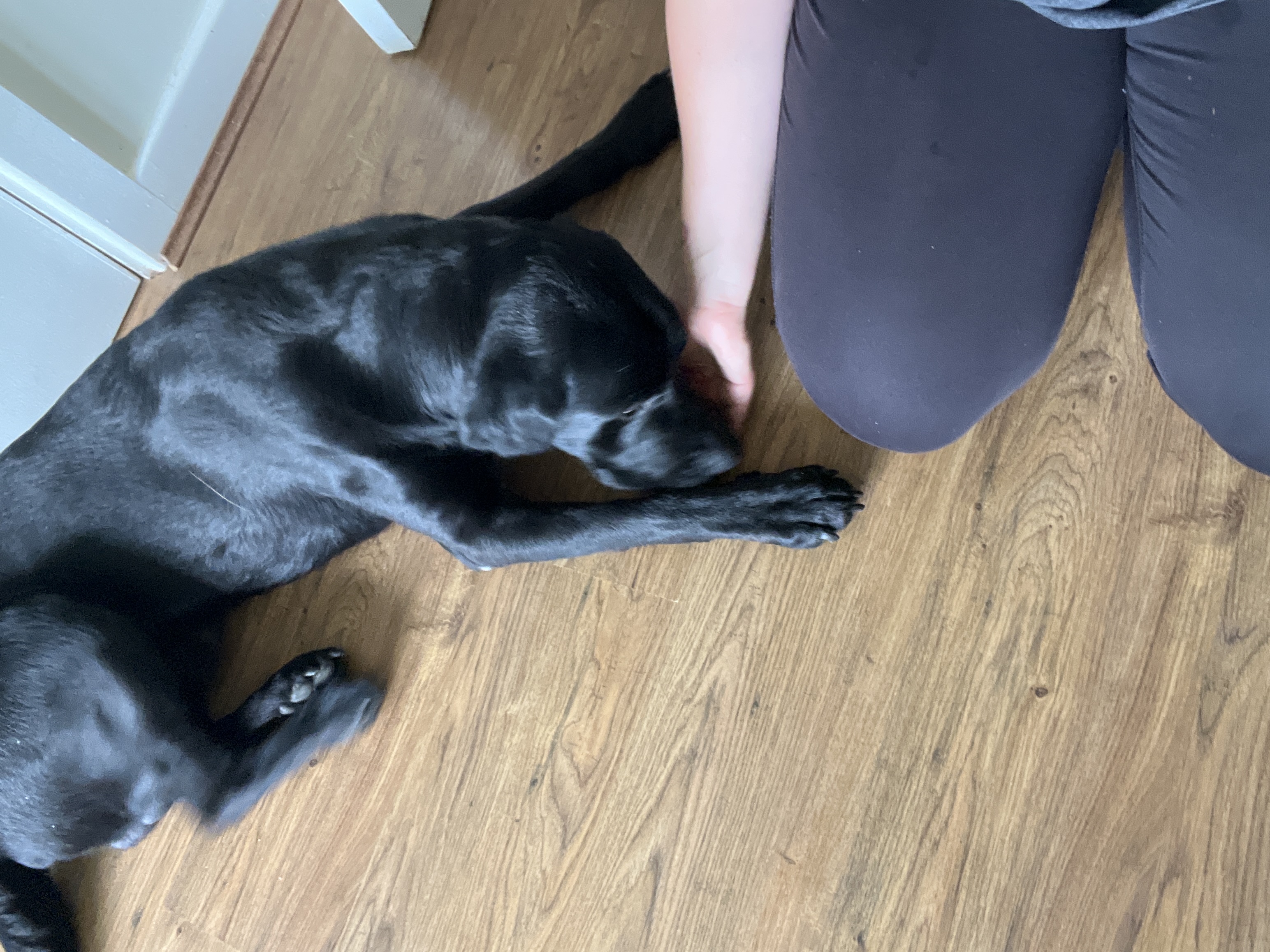 image-11