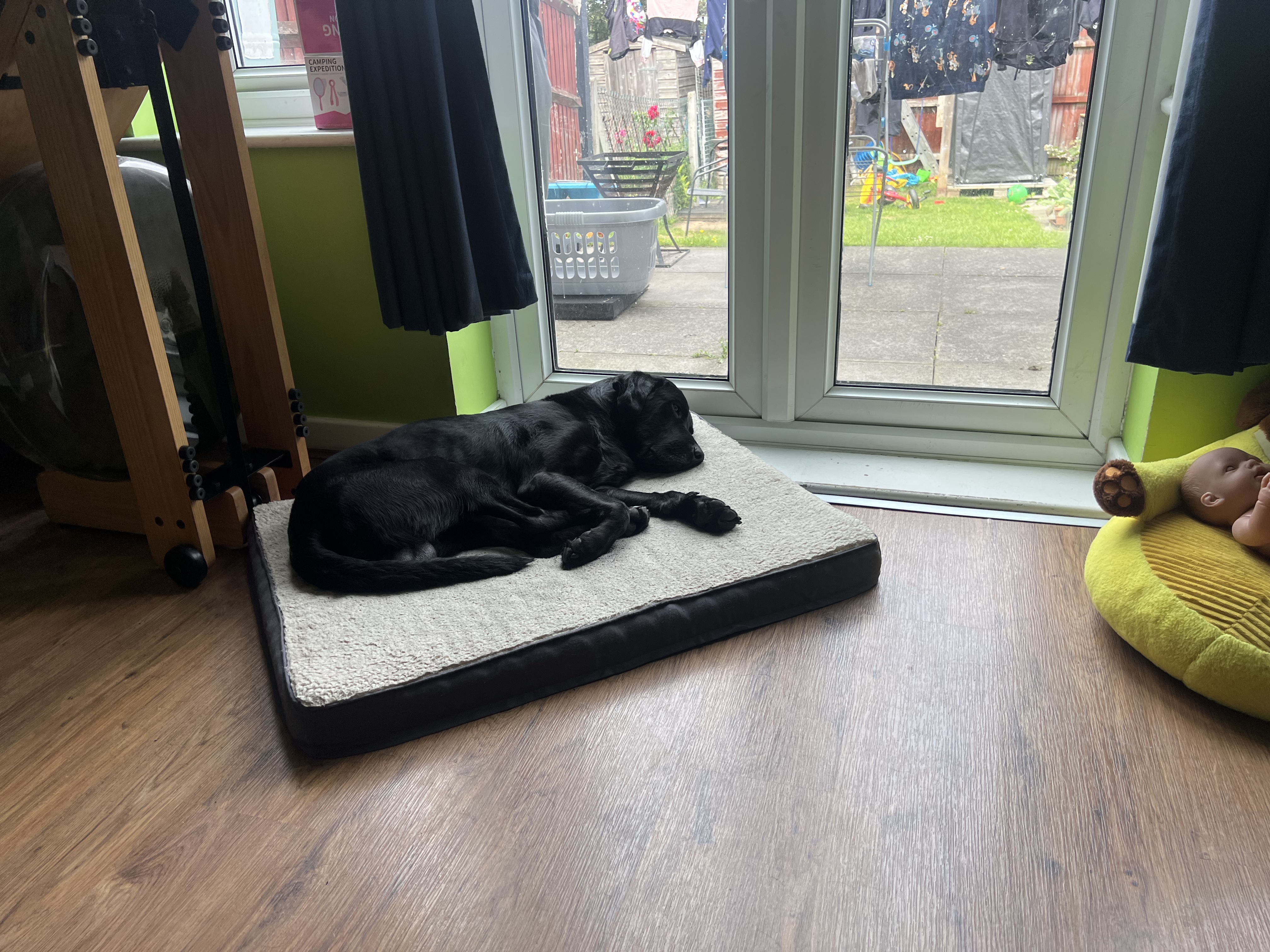 image-9
