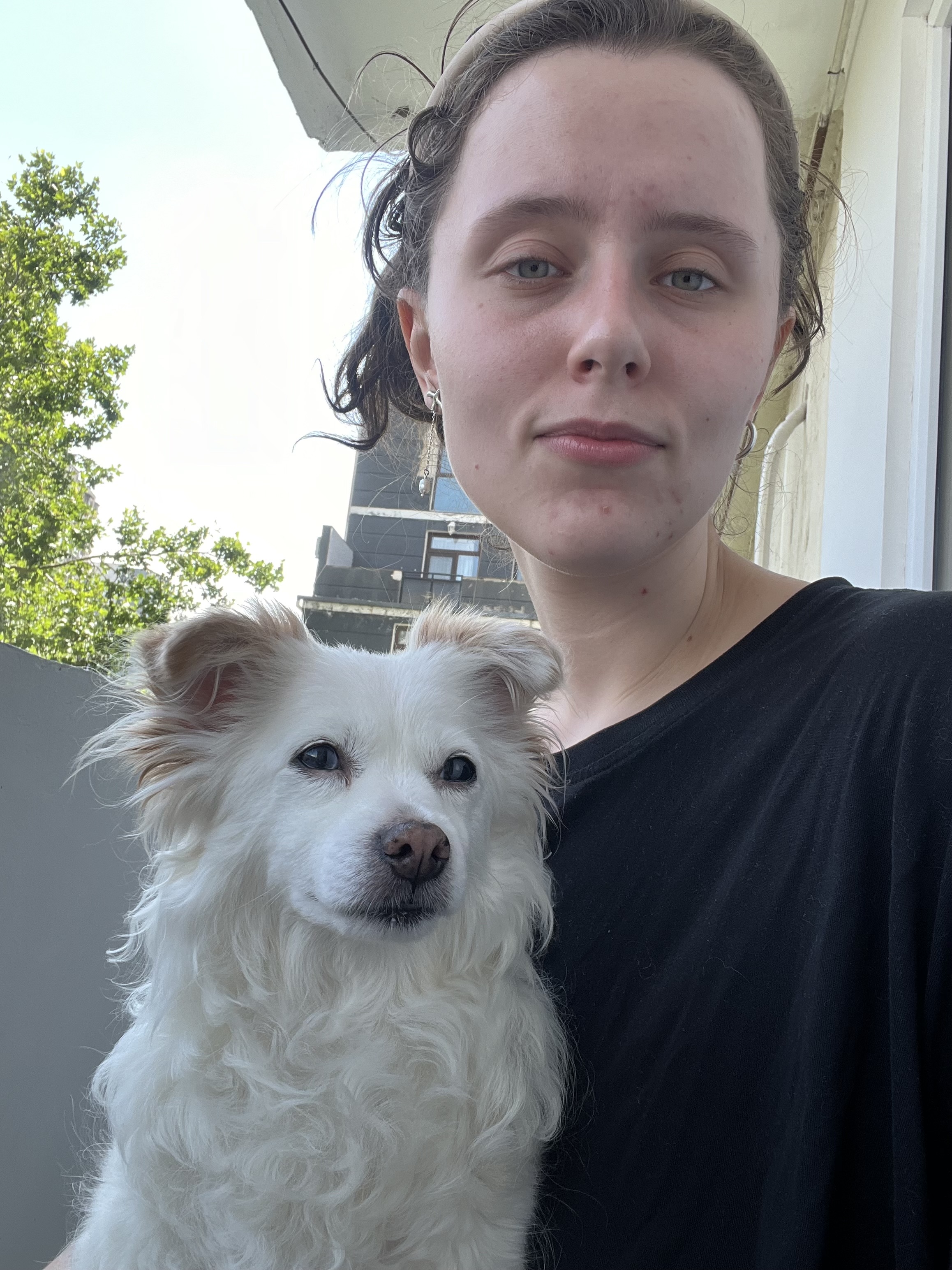 image-6