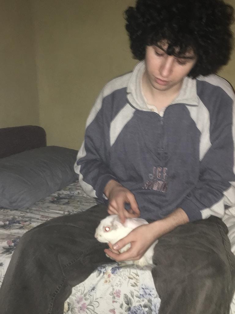image-4