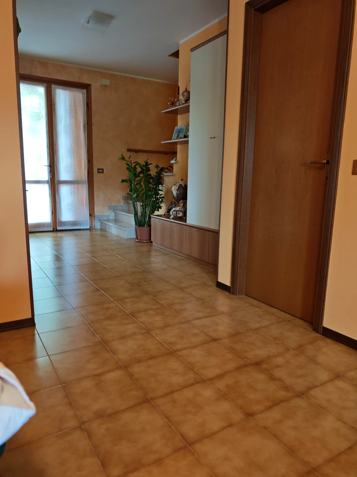 image-19