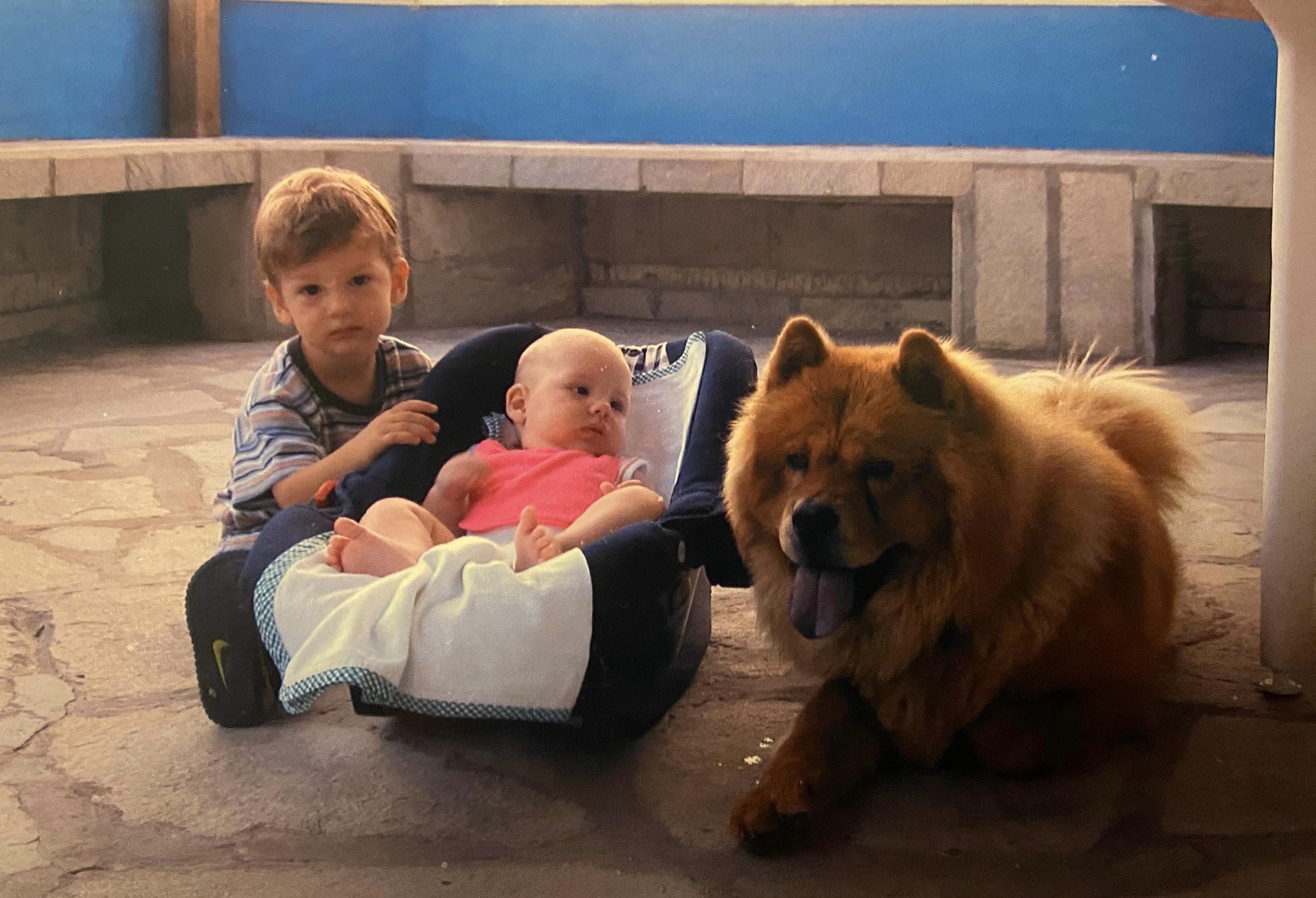 image-11