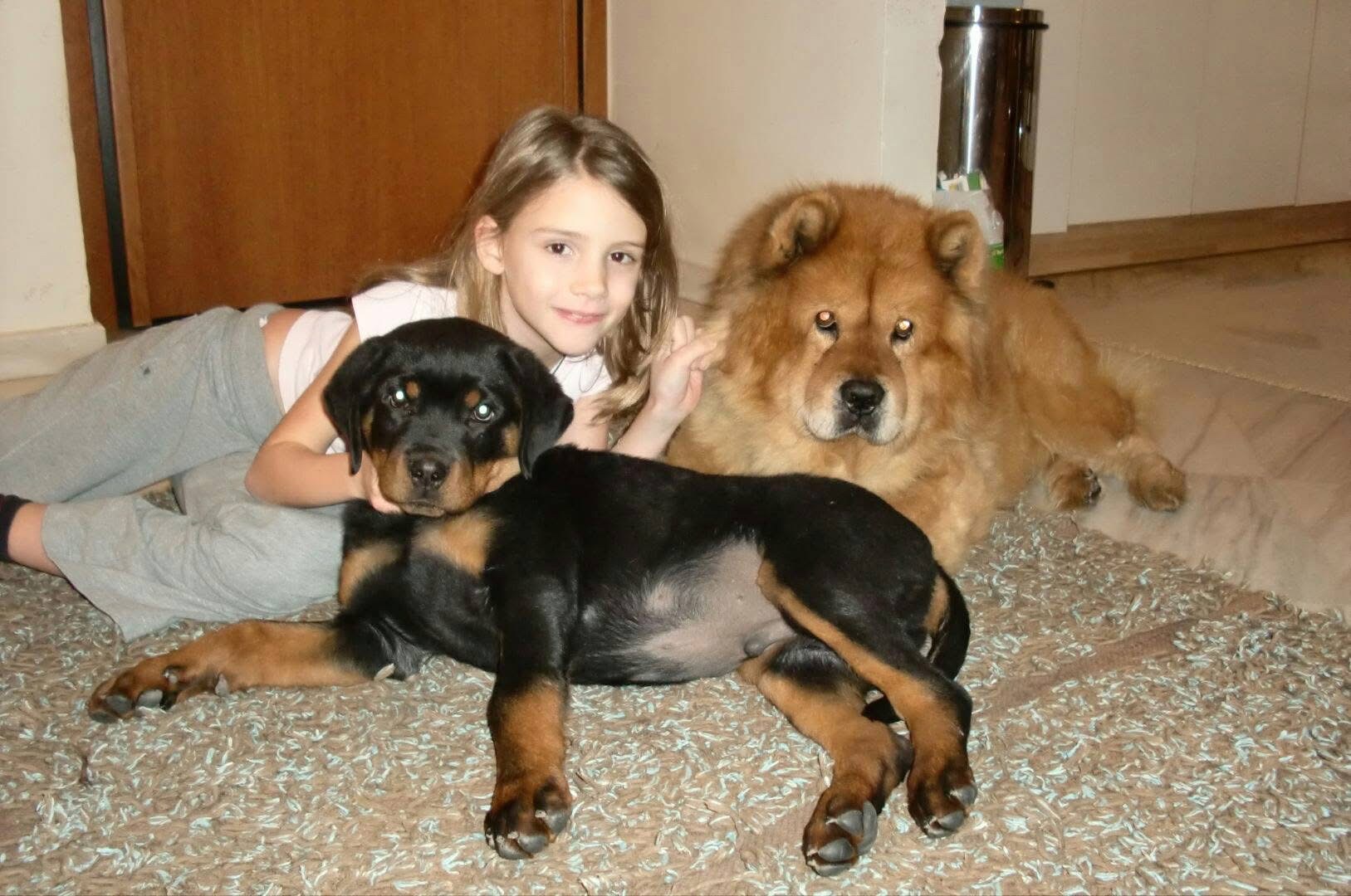 image-9