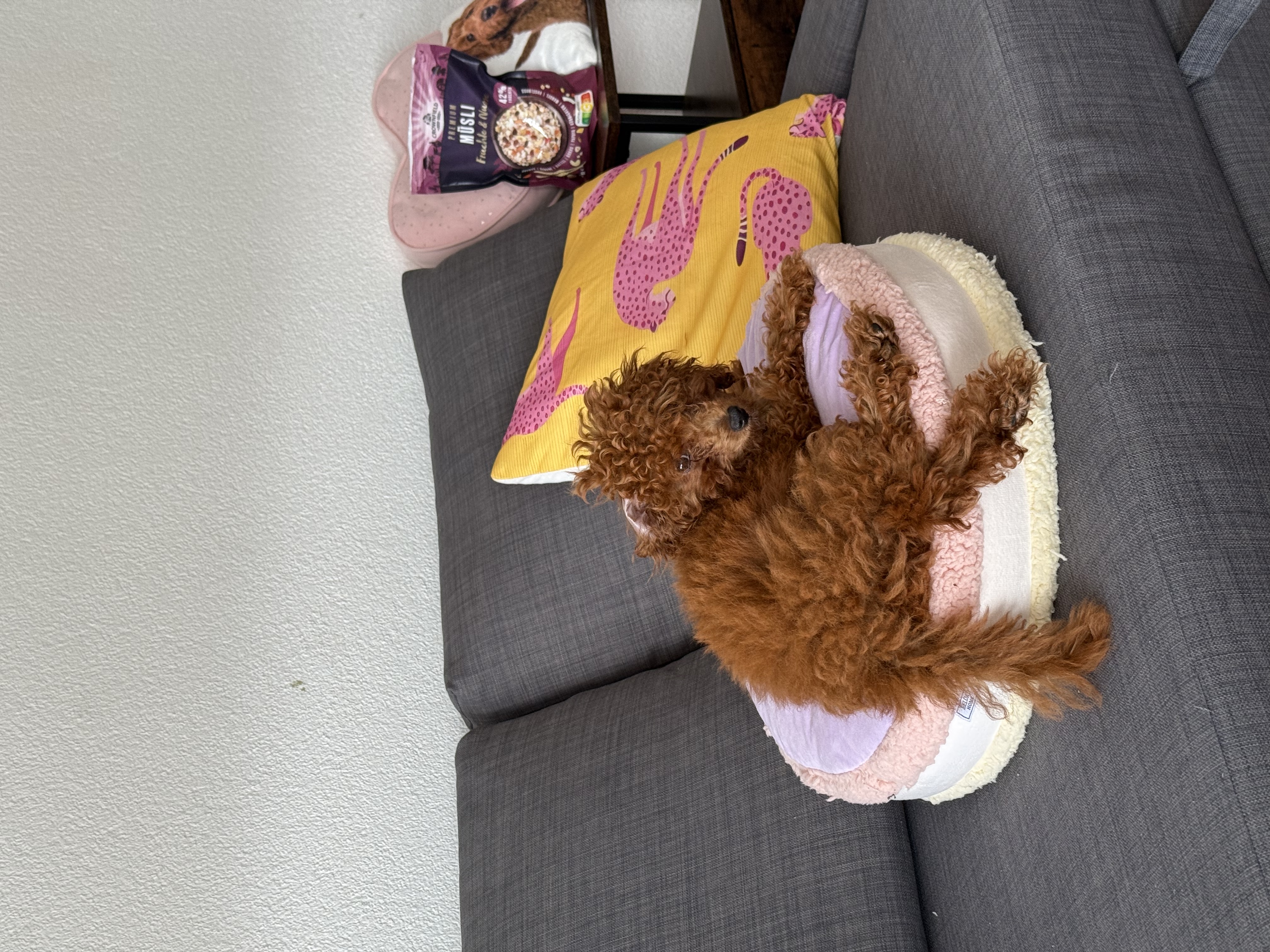 image-3
