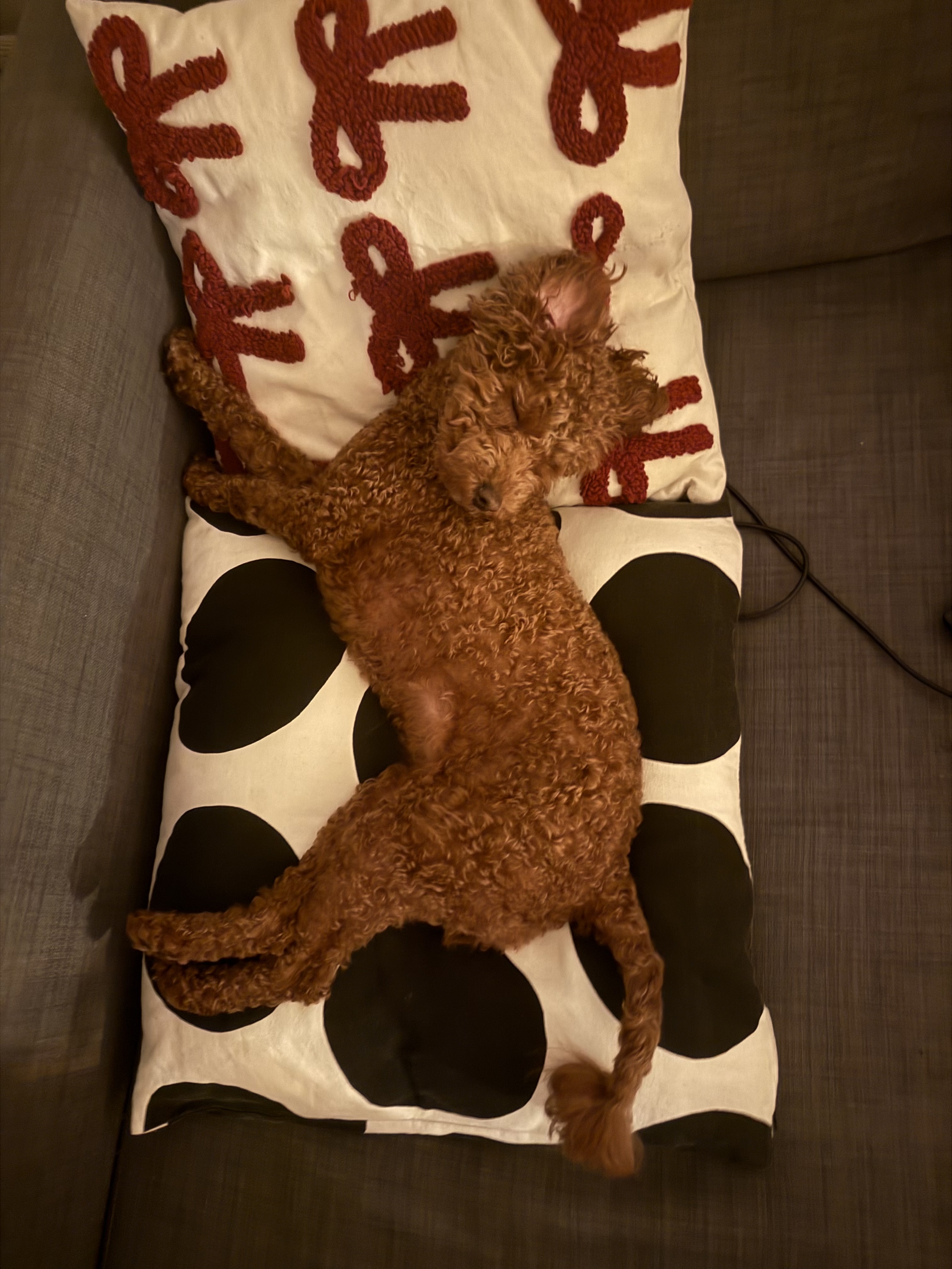 image-7