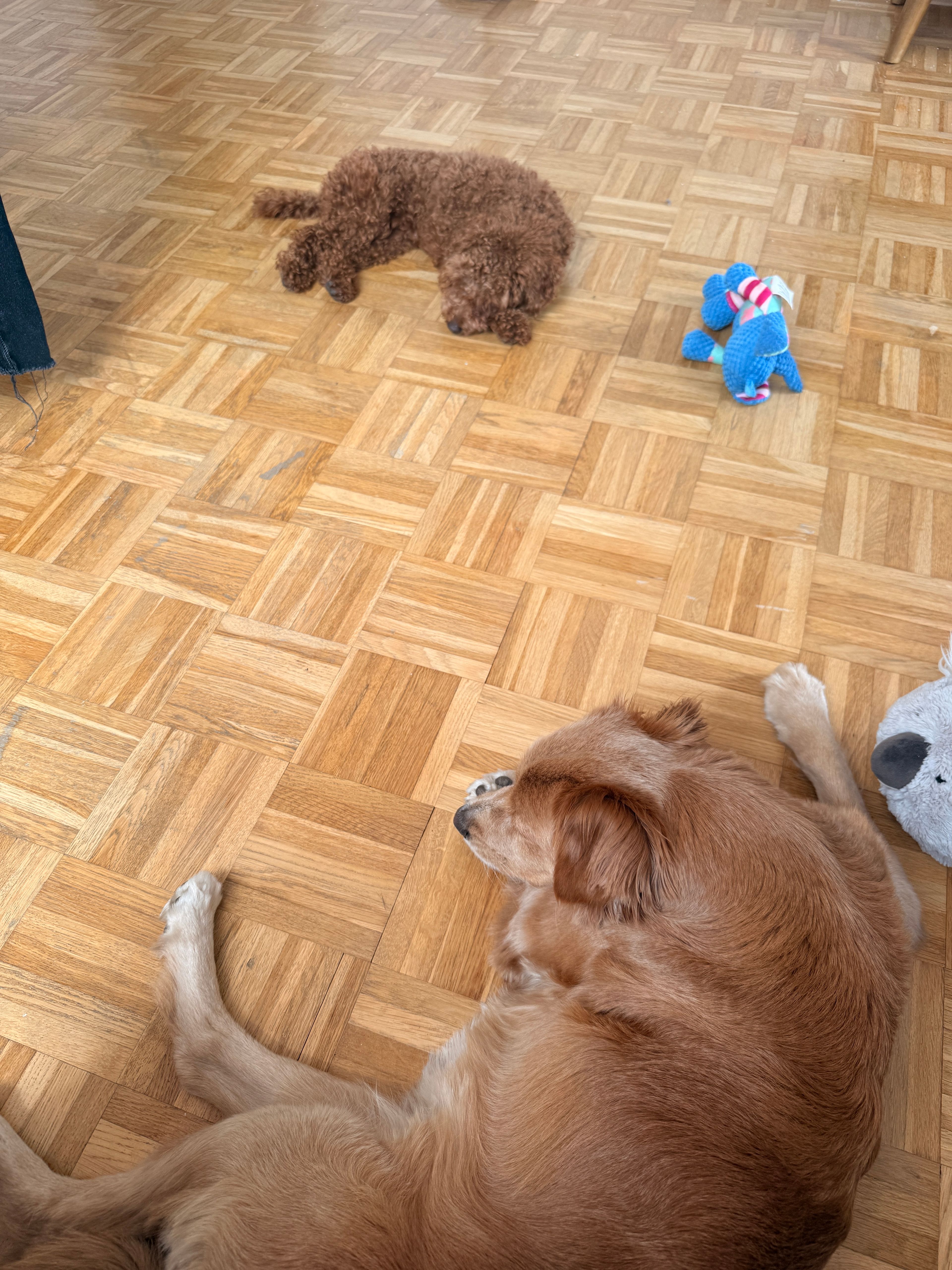 image-18