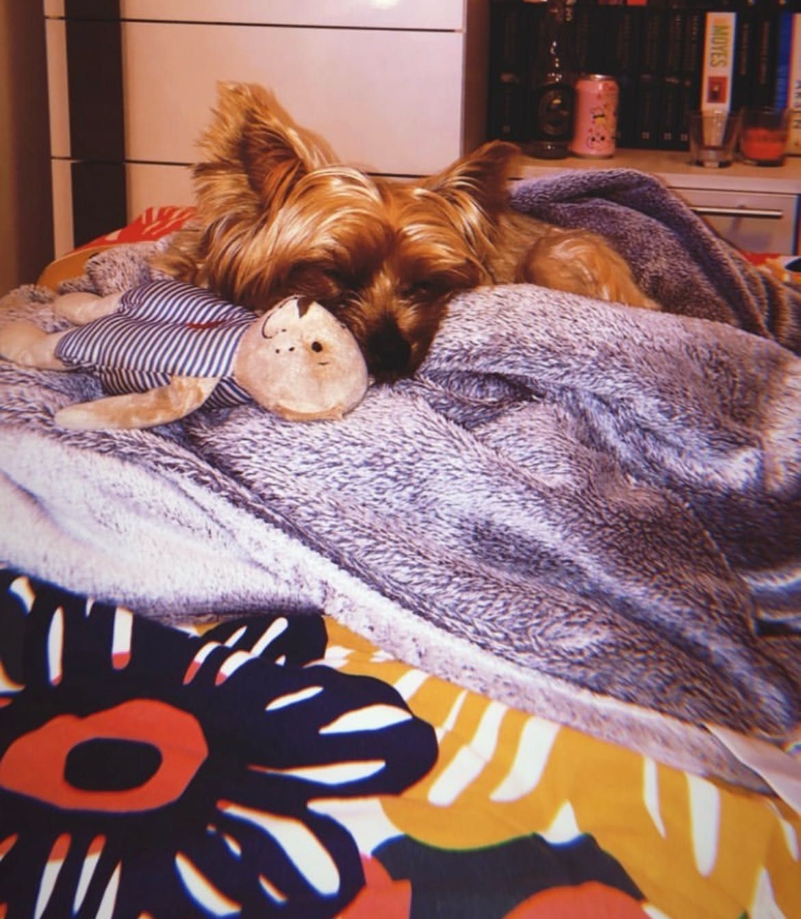 image-6
