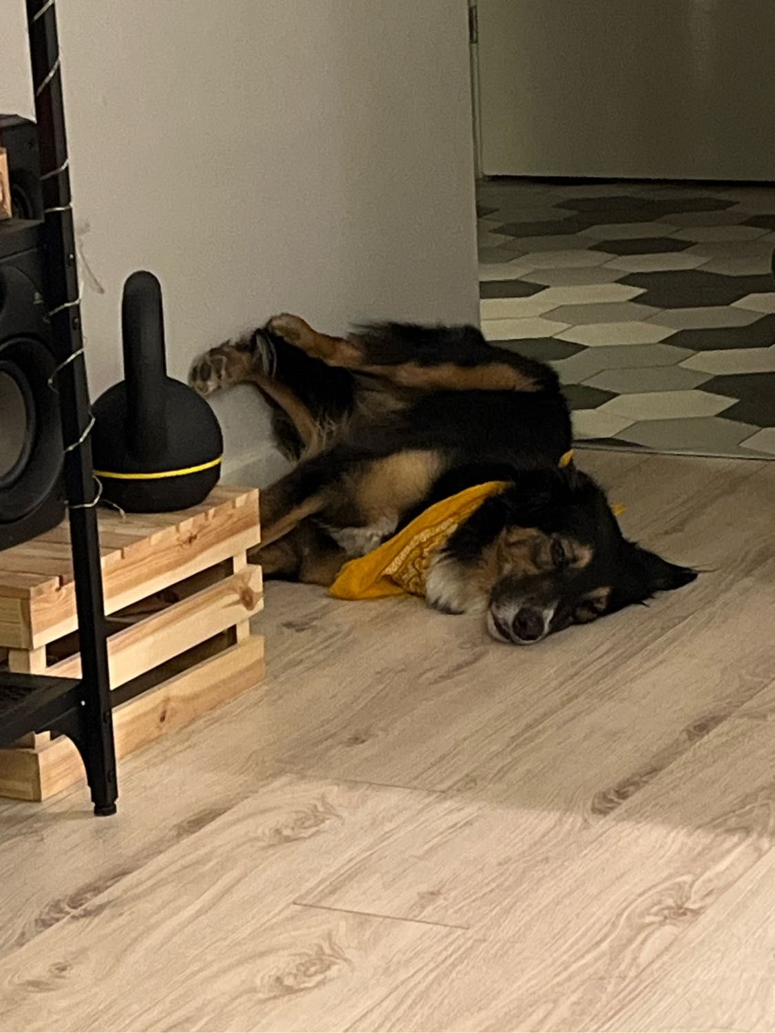 image-11