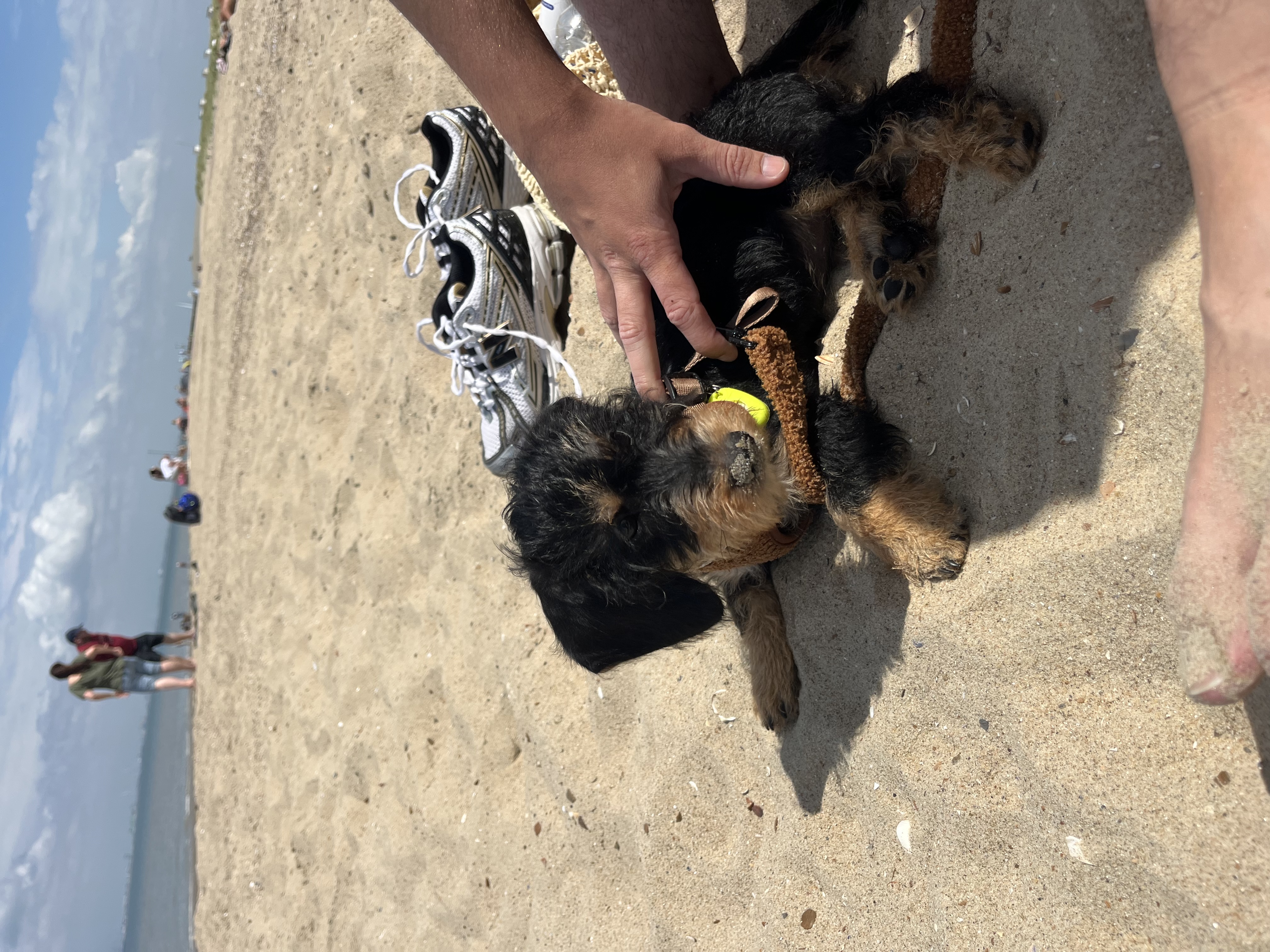 image-6