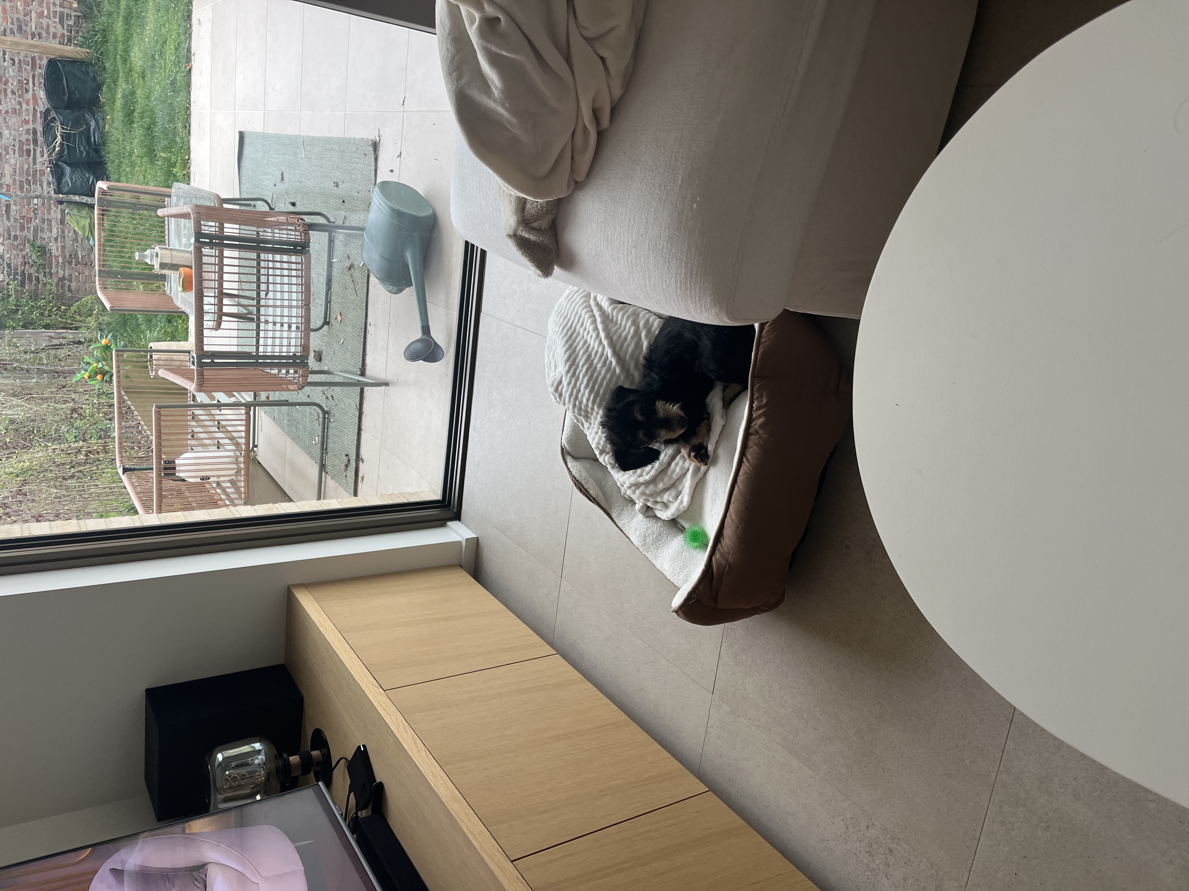 image-14