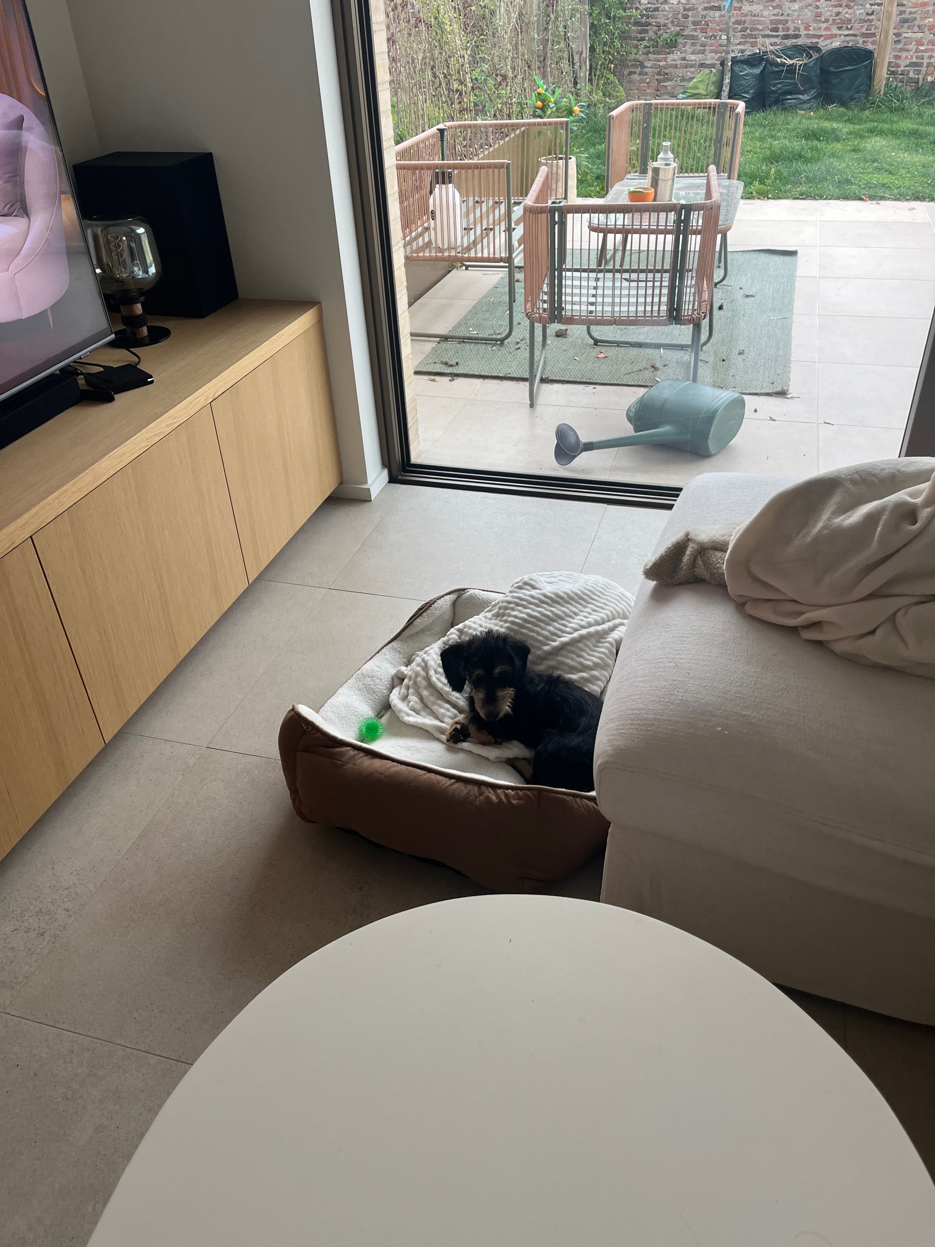 image-14