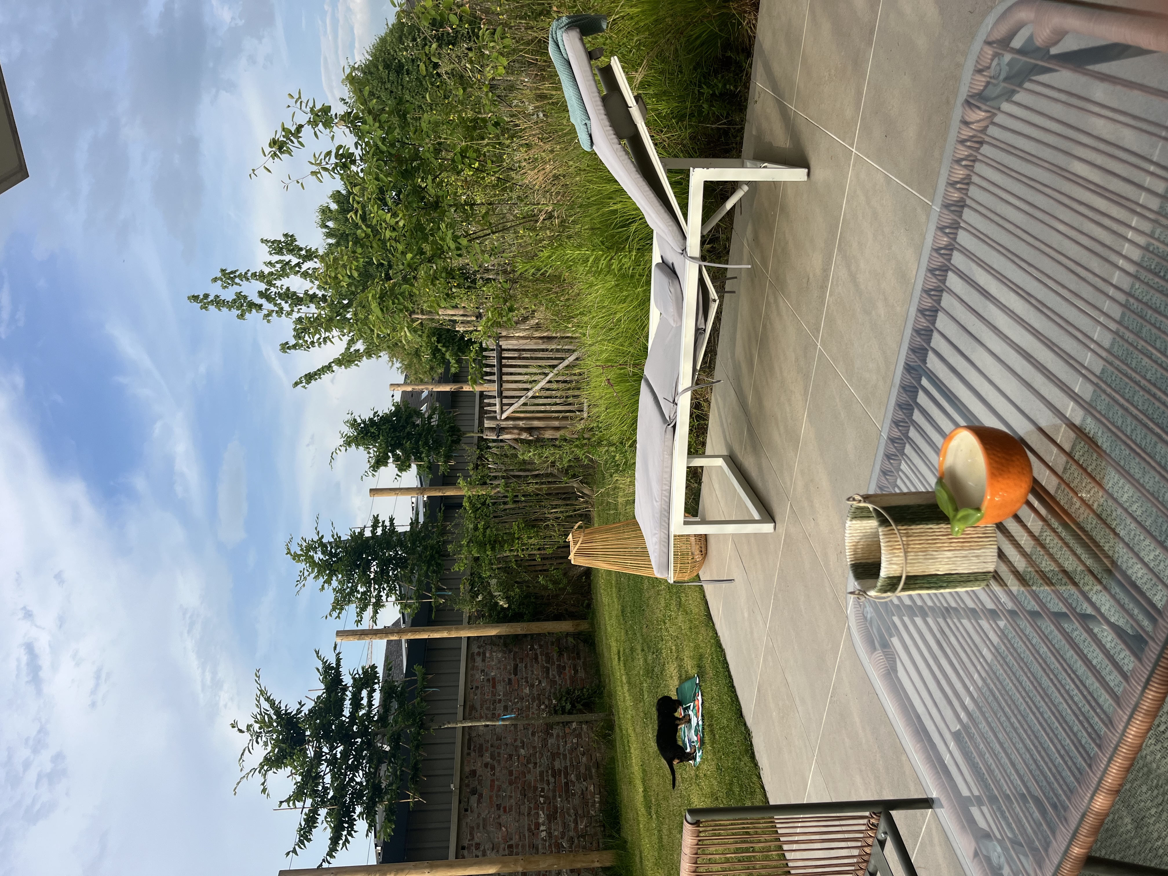 image-15
