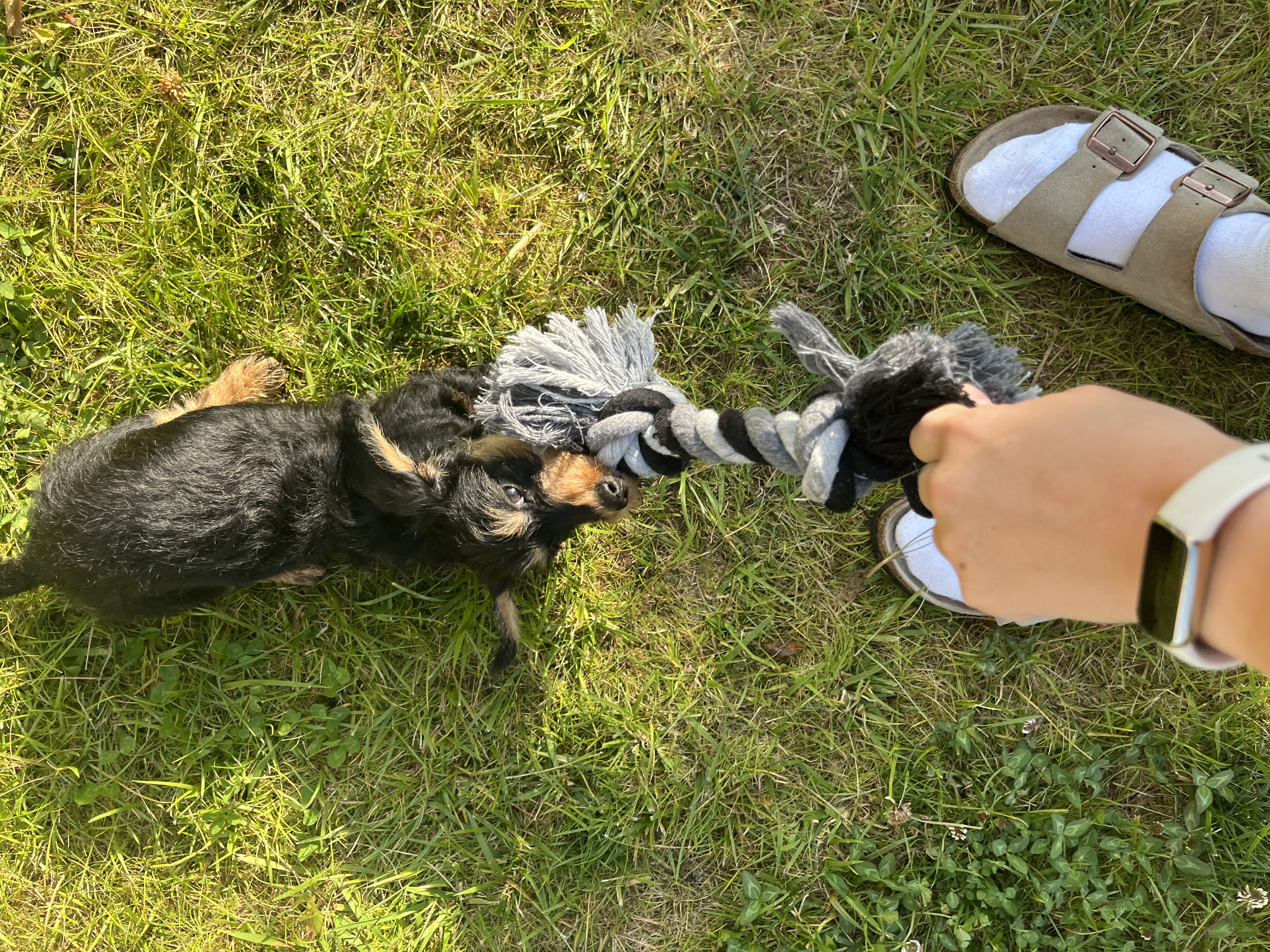 image-9