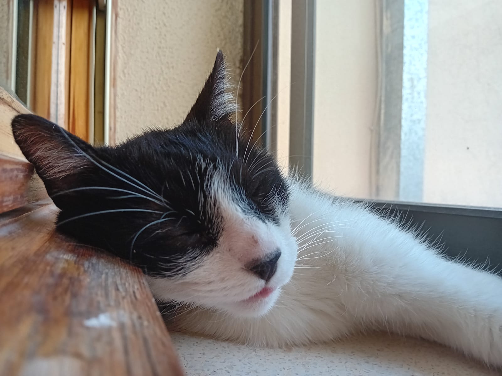 image-5