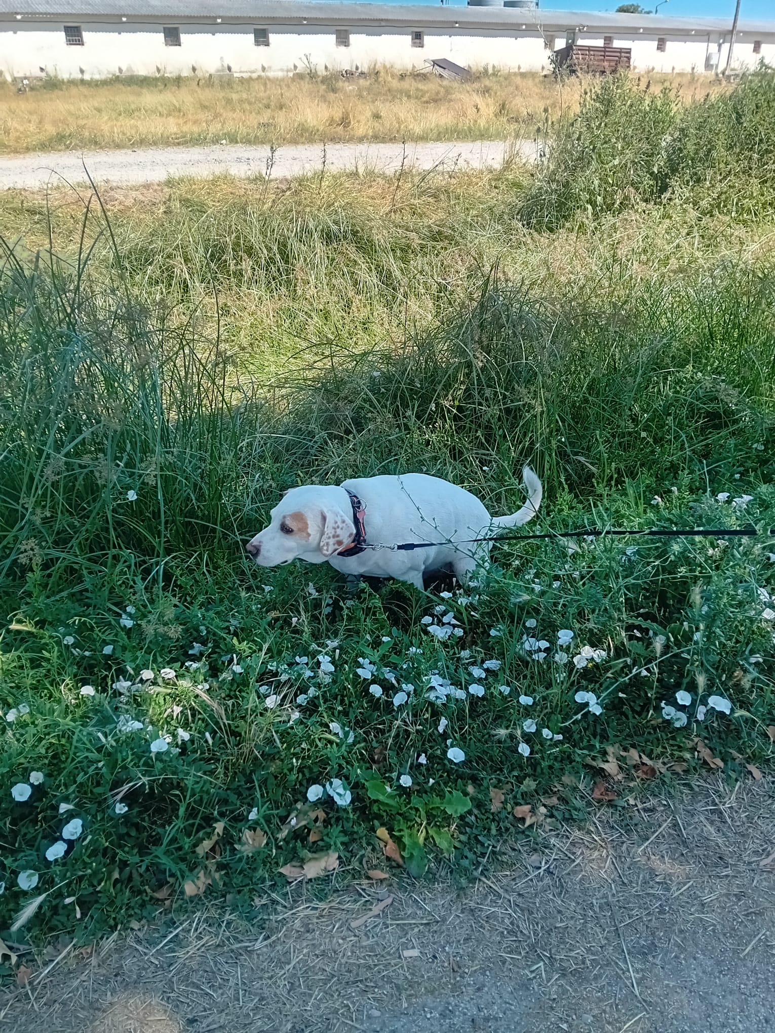 image-6