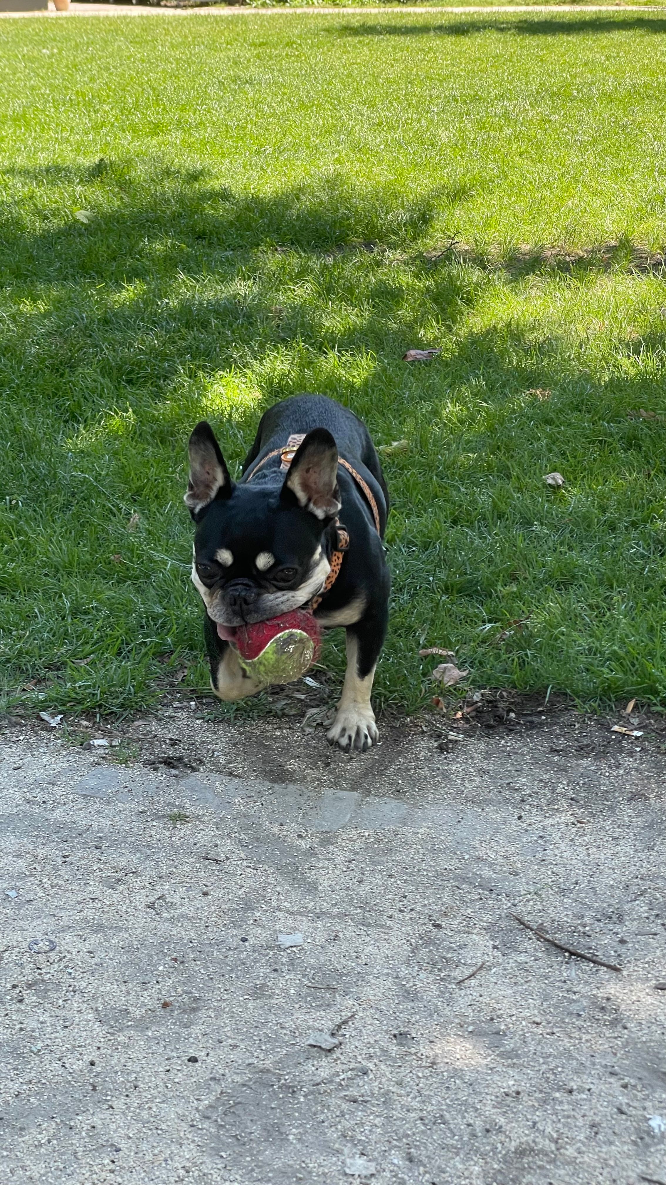 image-11
