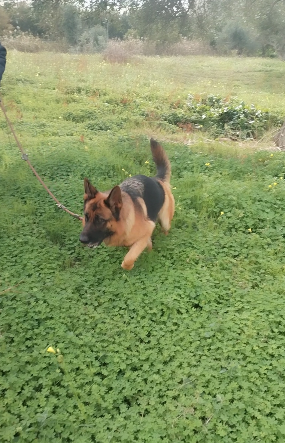 image-14
