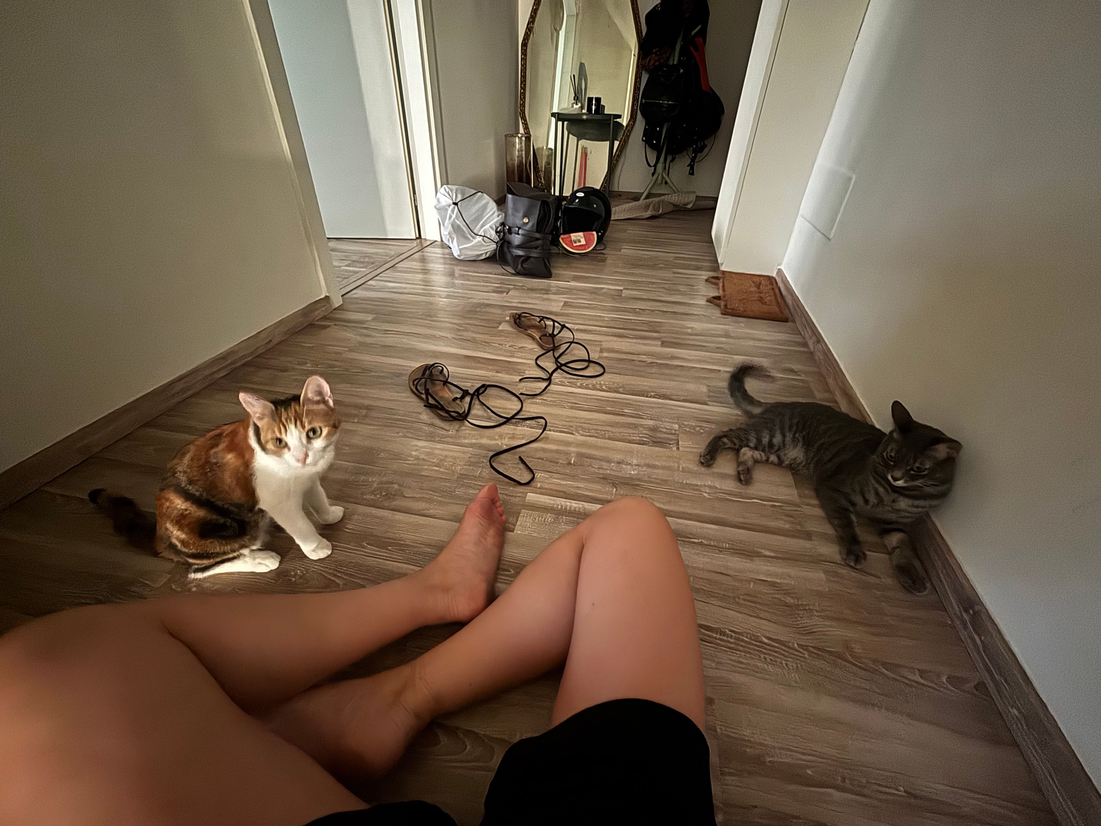 image-11