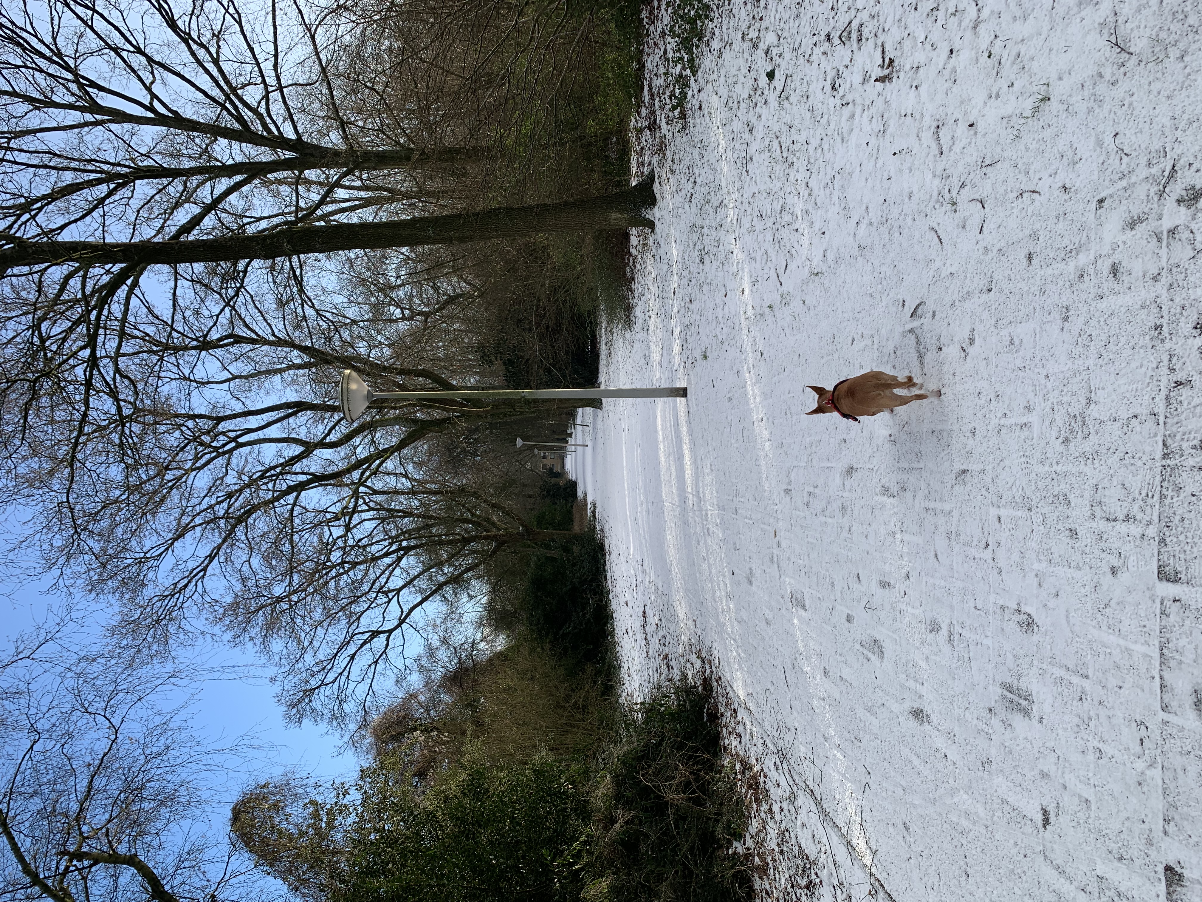 image-9