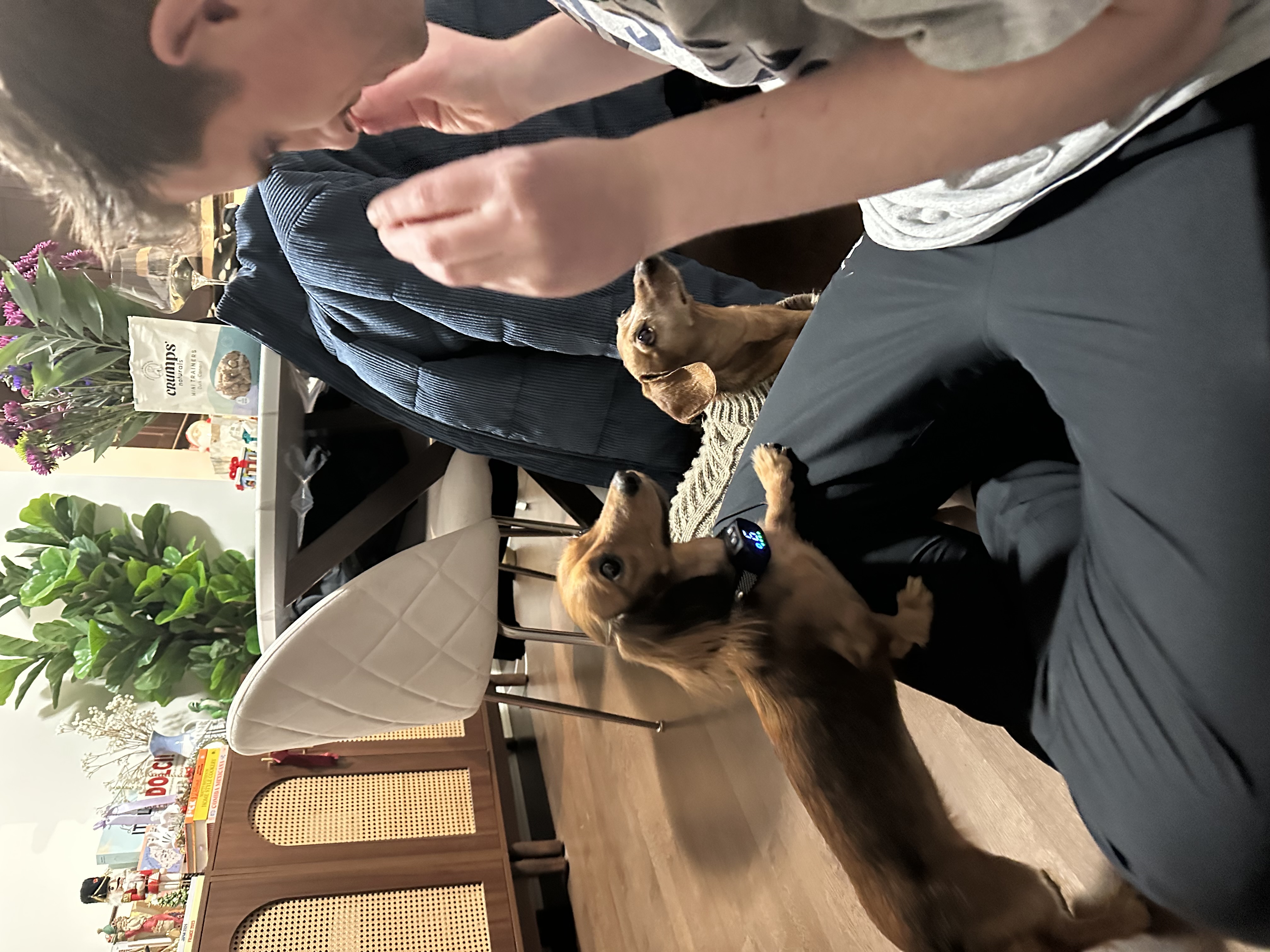 image-7