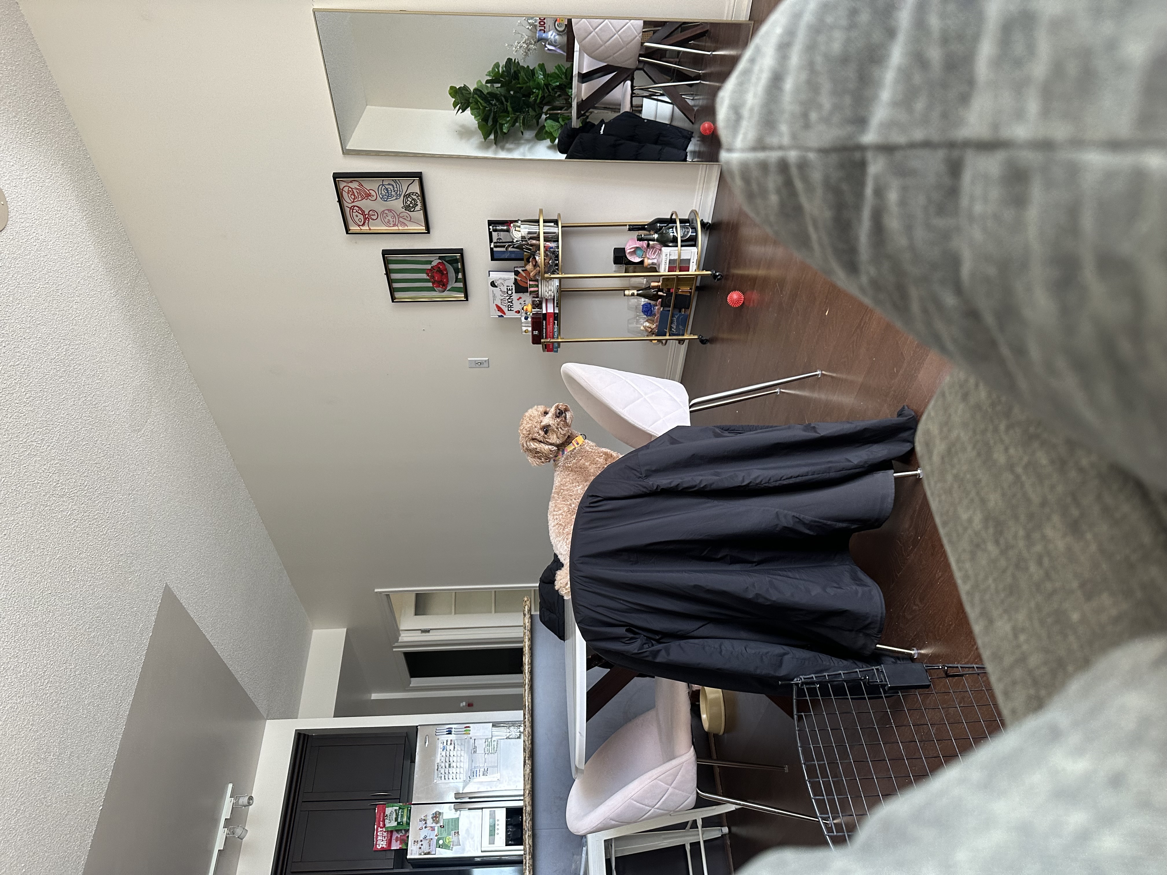 image-19