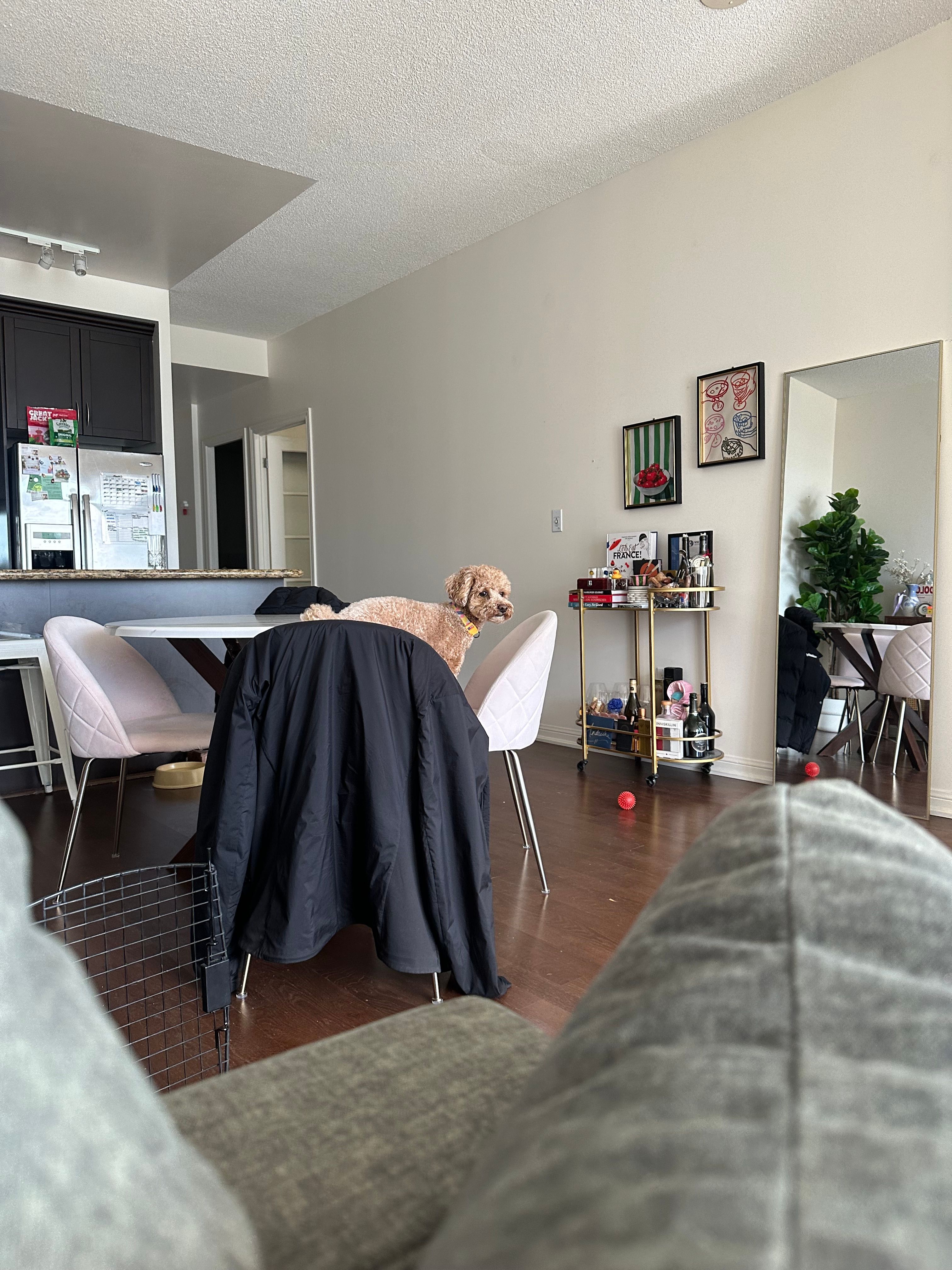 image-19
