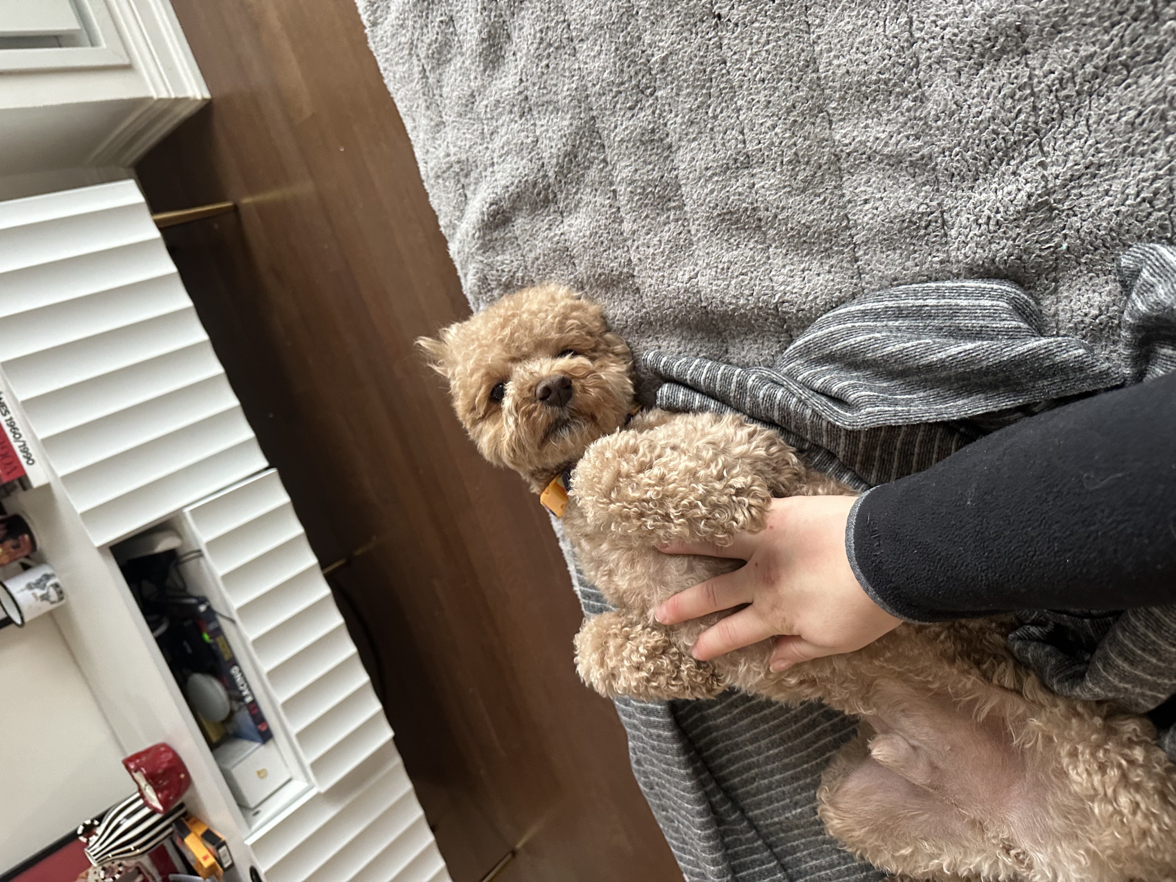 image-9