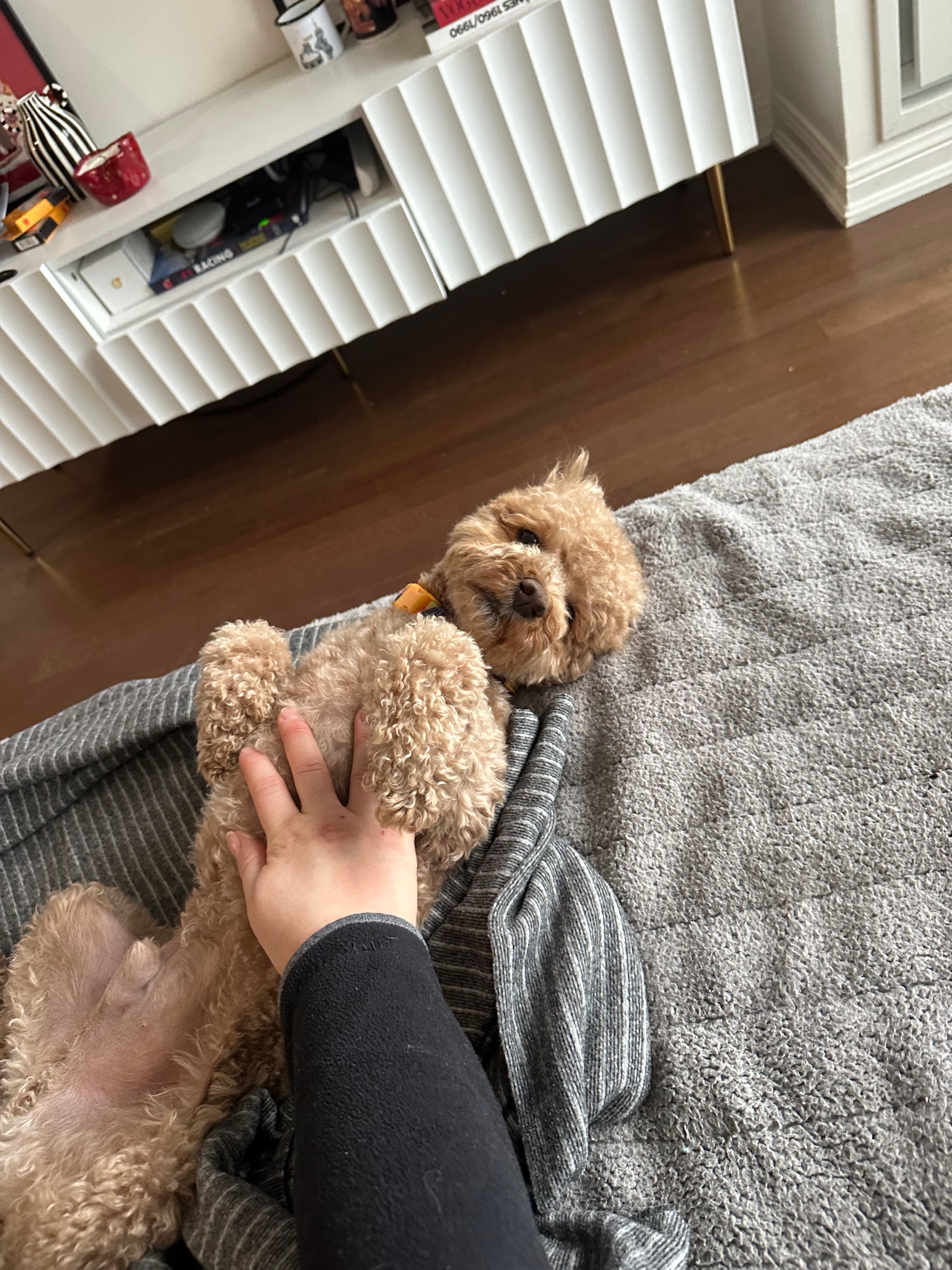 image-9