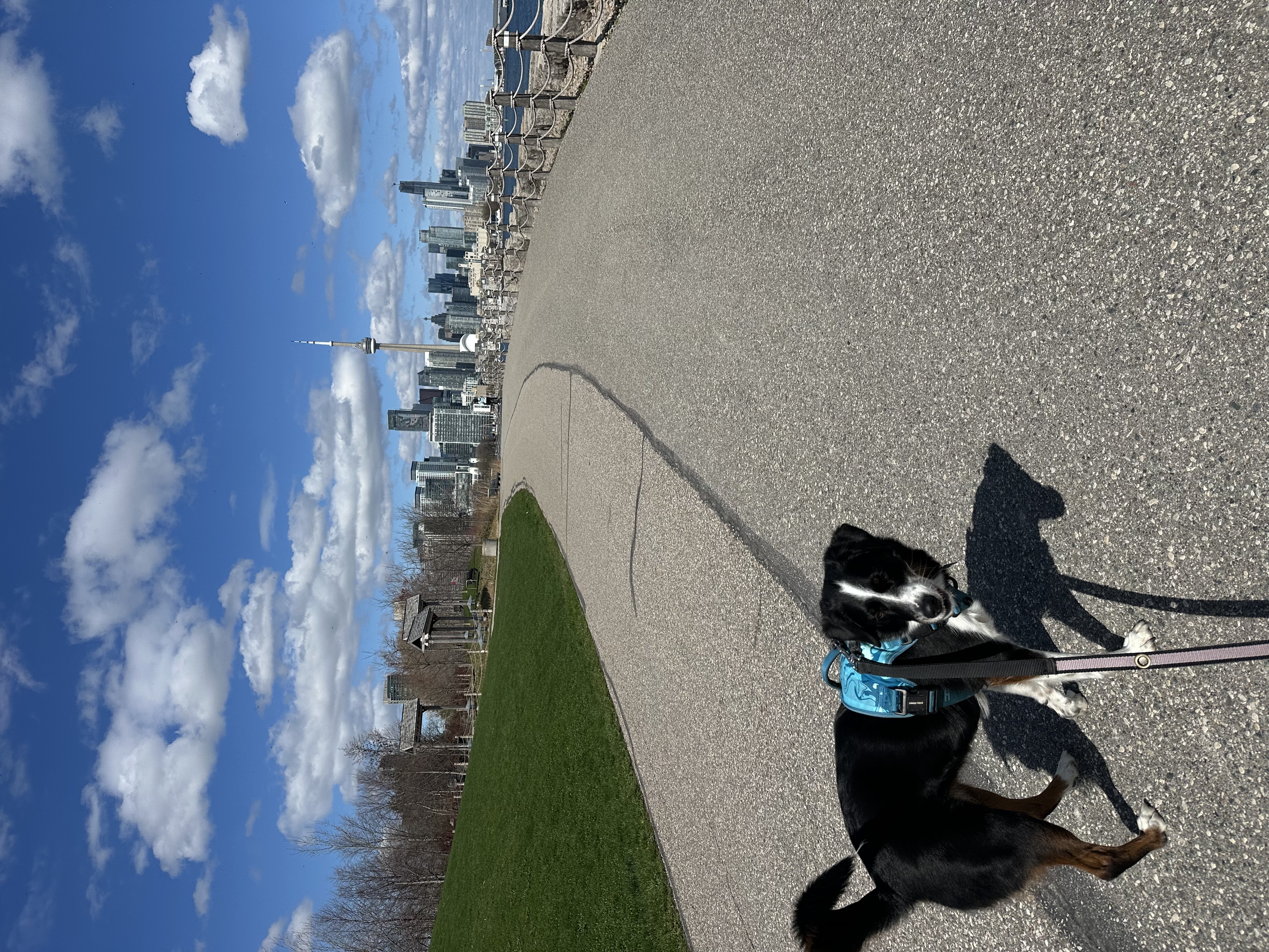 image-20