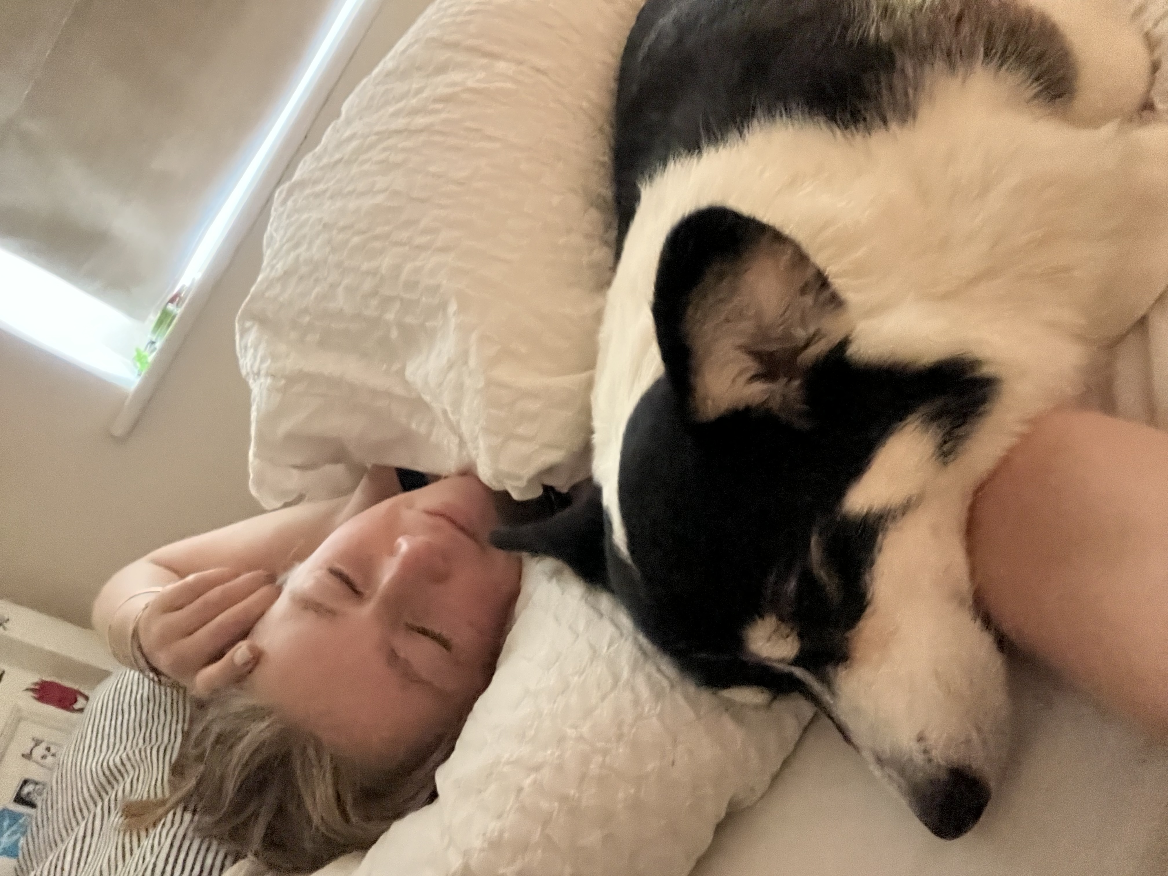 image-6