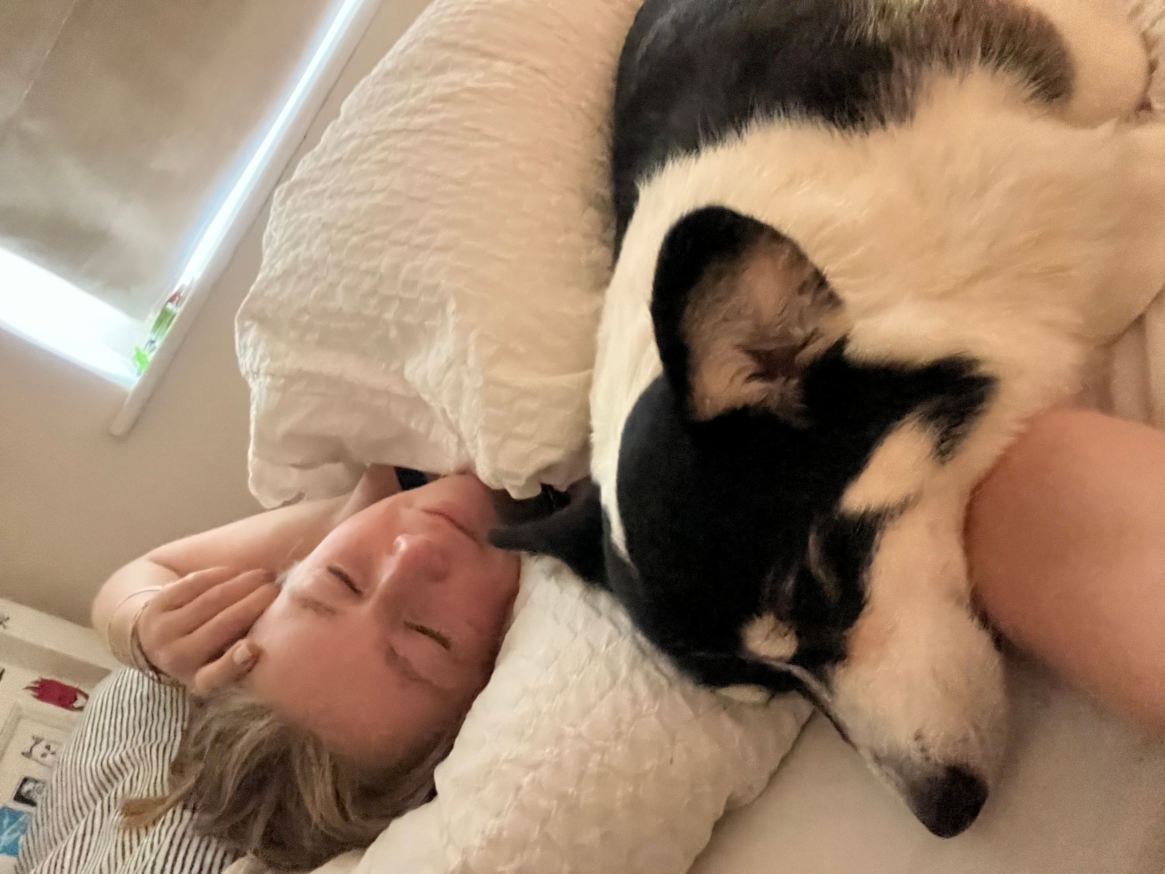image-6