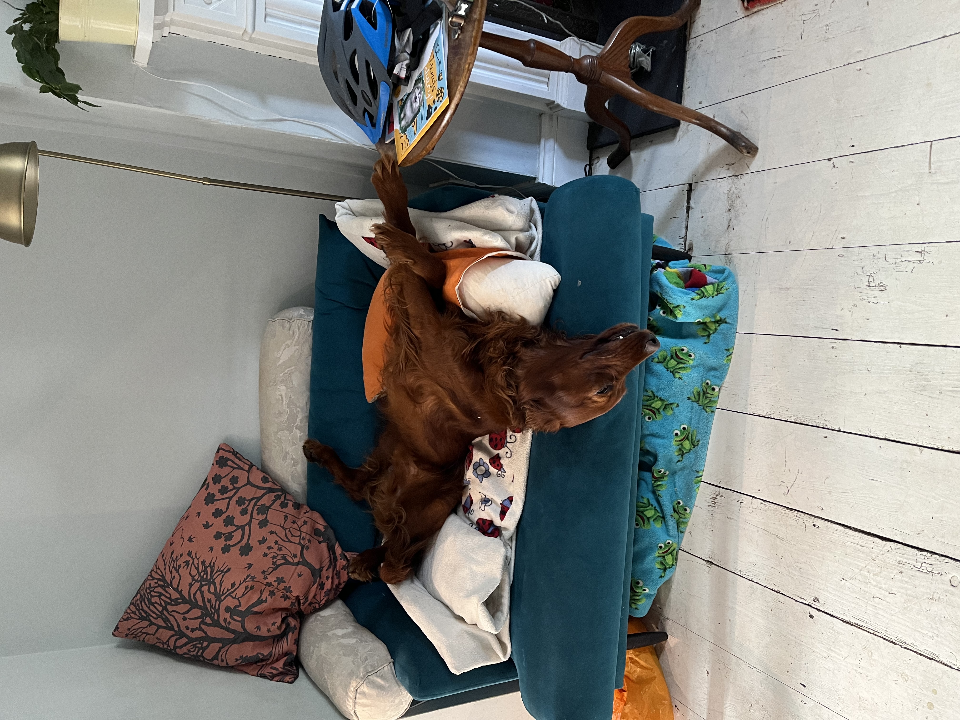 image-13