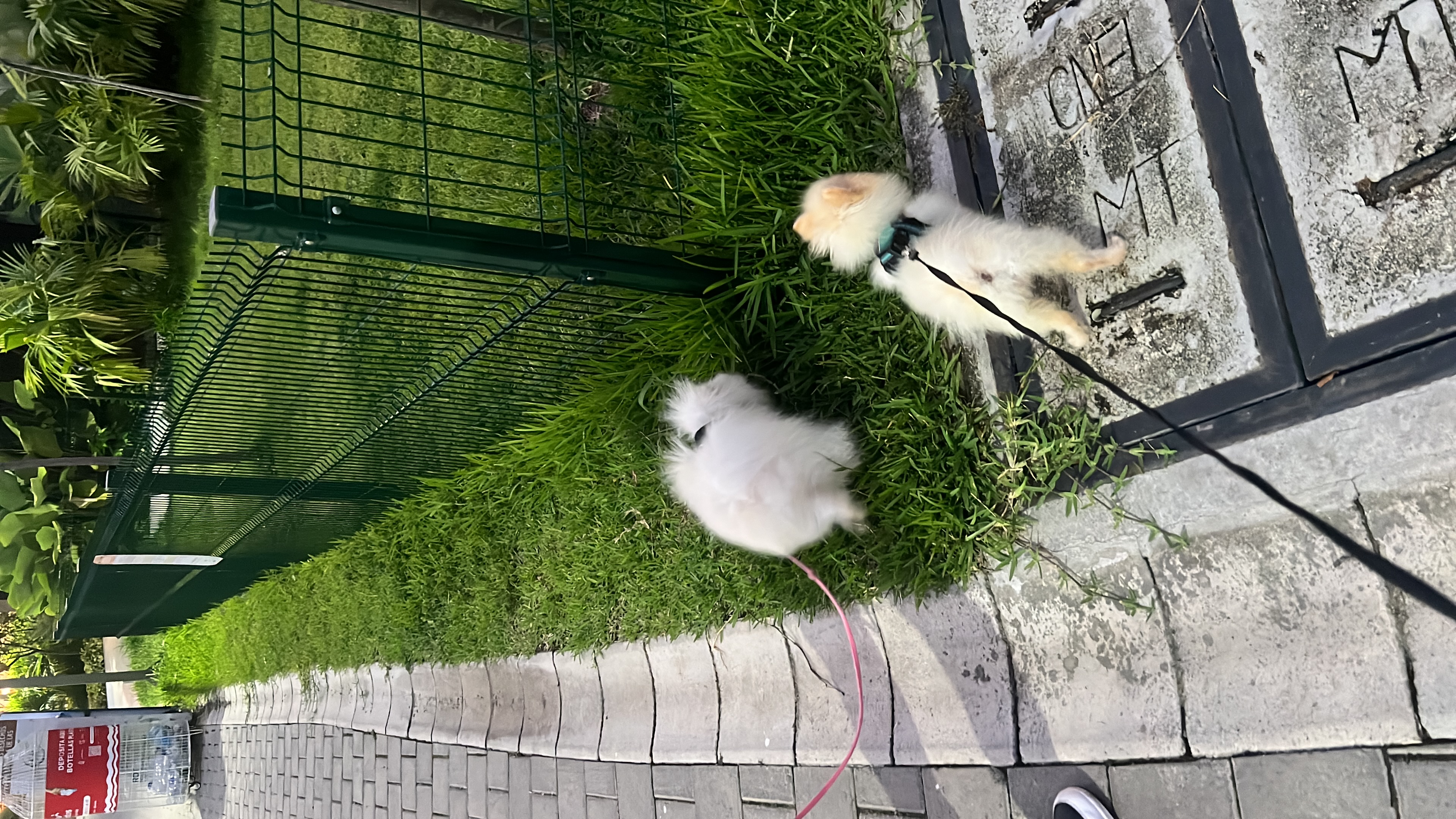 image-9