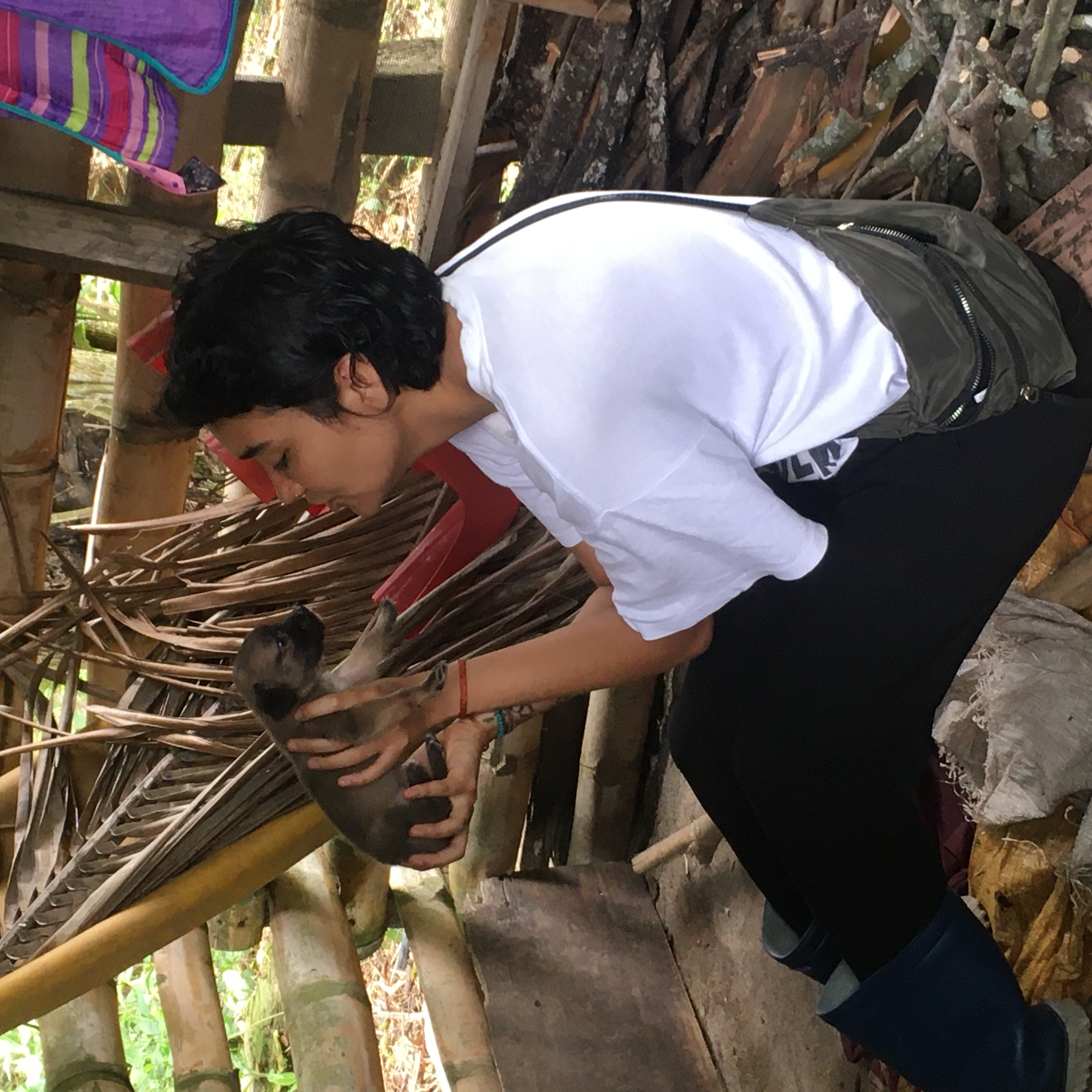 image-4
