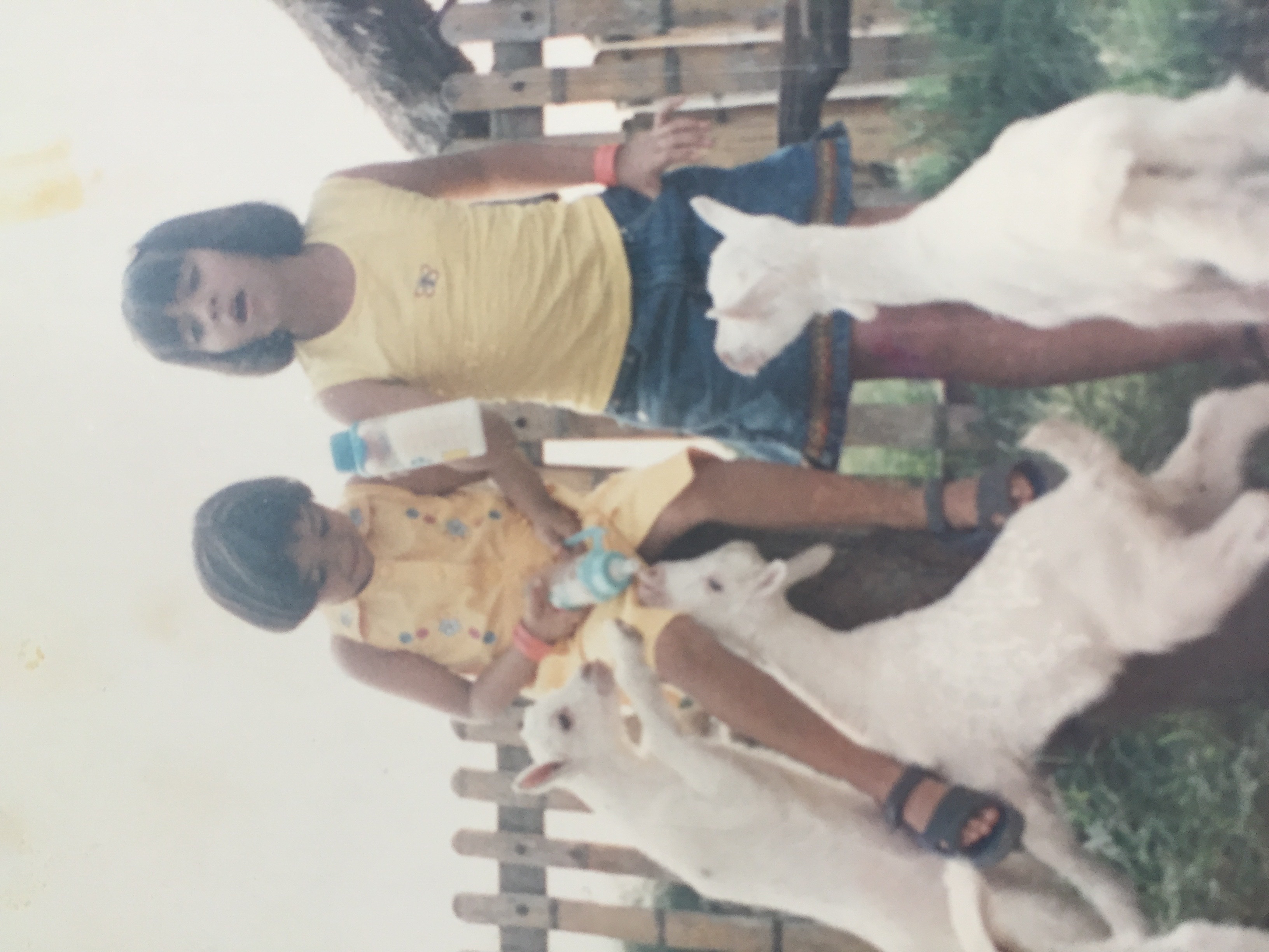 image-3