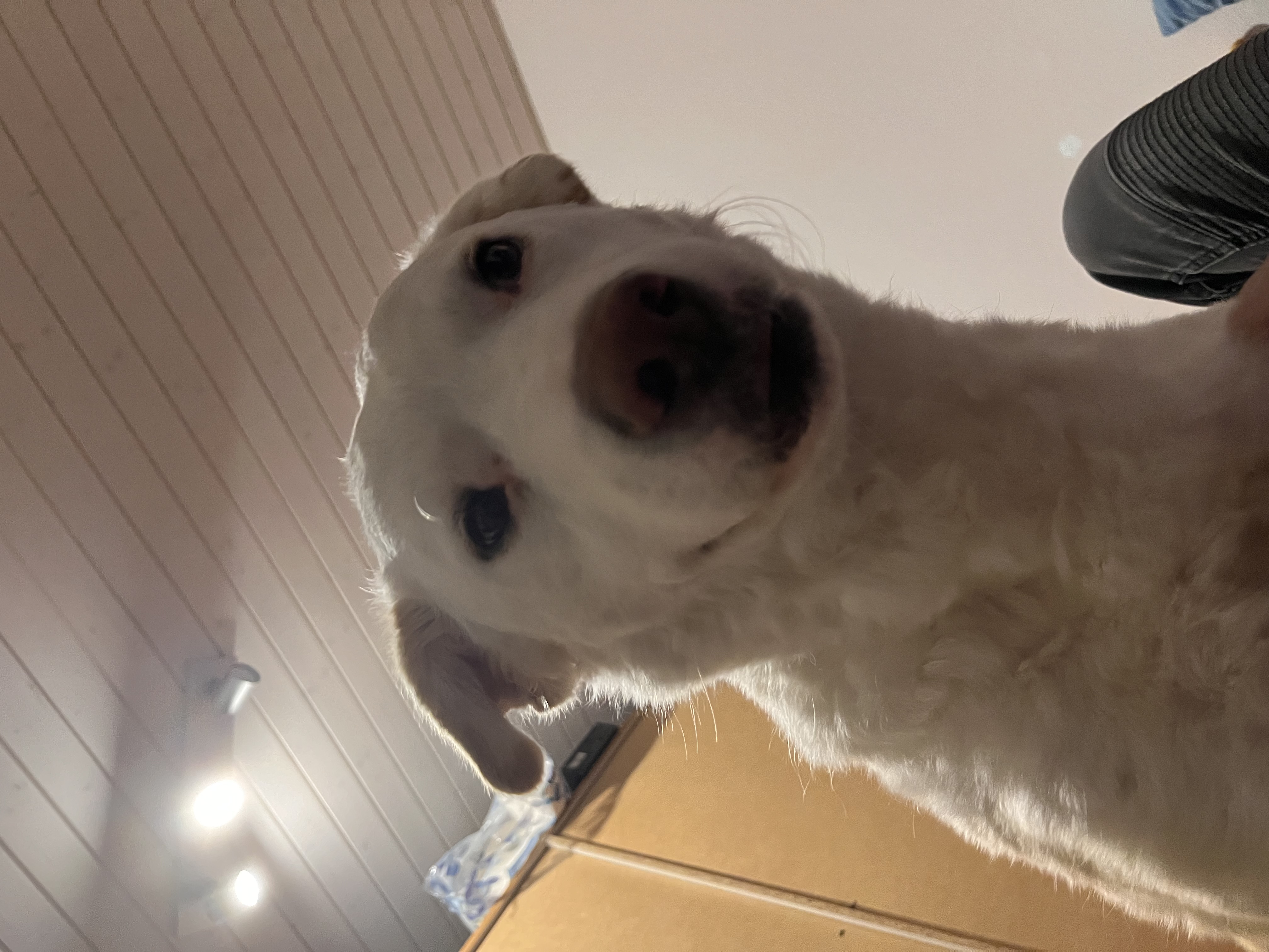 image-8