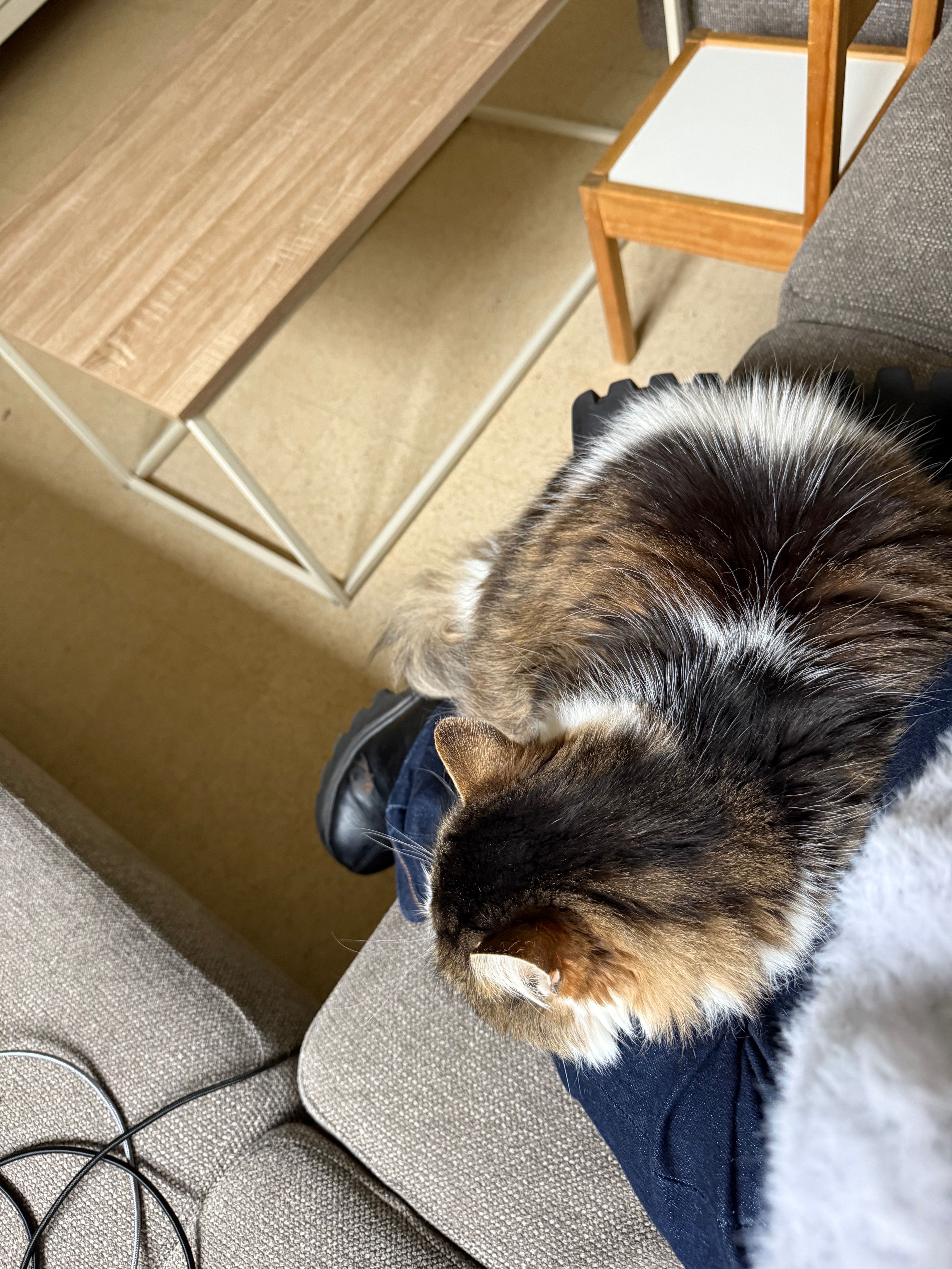 image-9