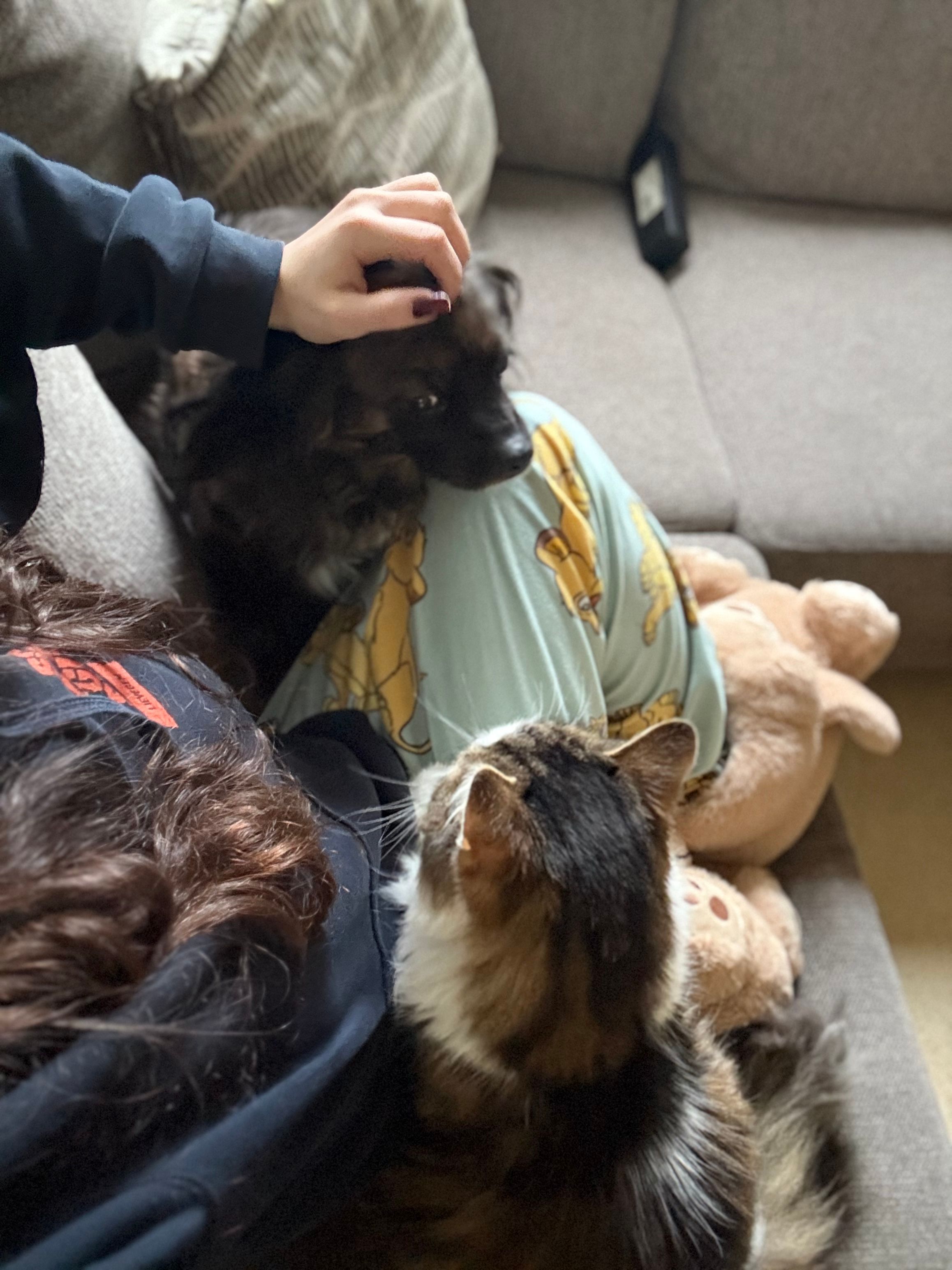 image-15